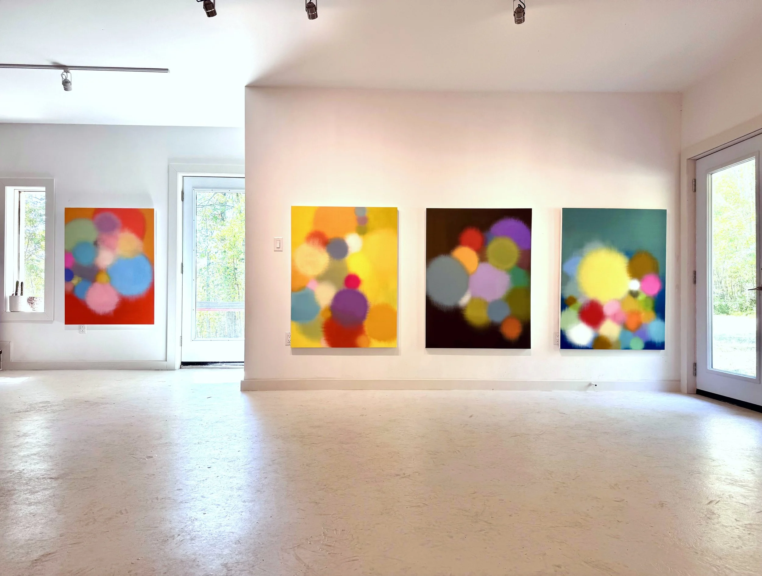 Kubis' Studio, summer 2025, Lakefield, Ontario
