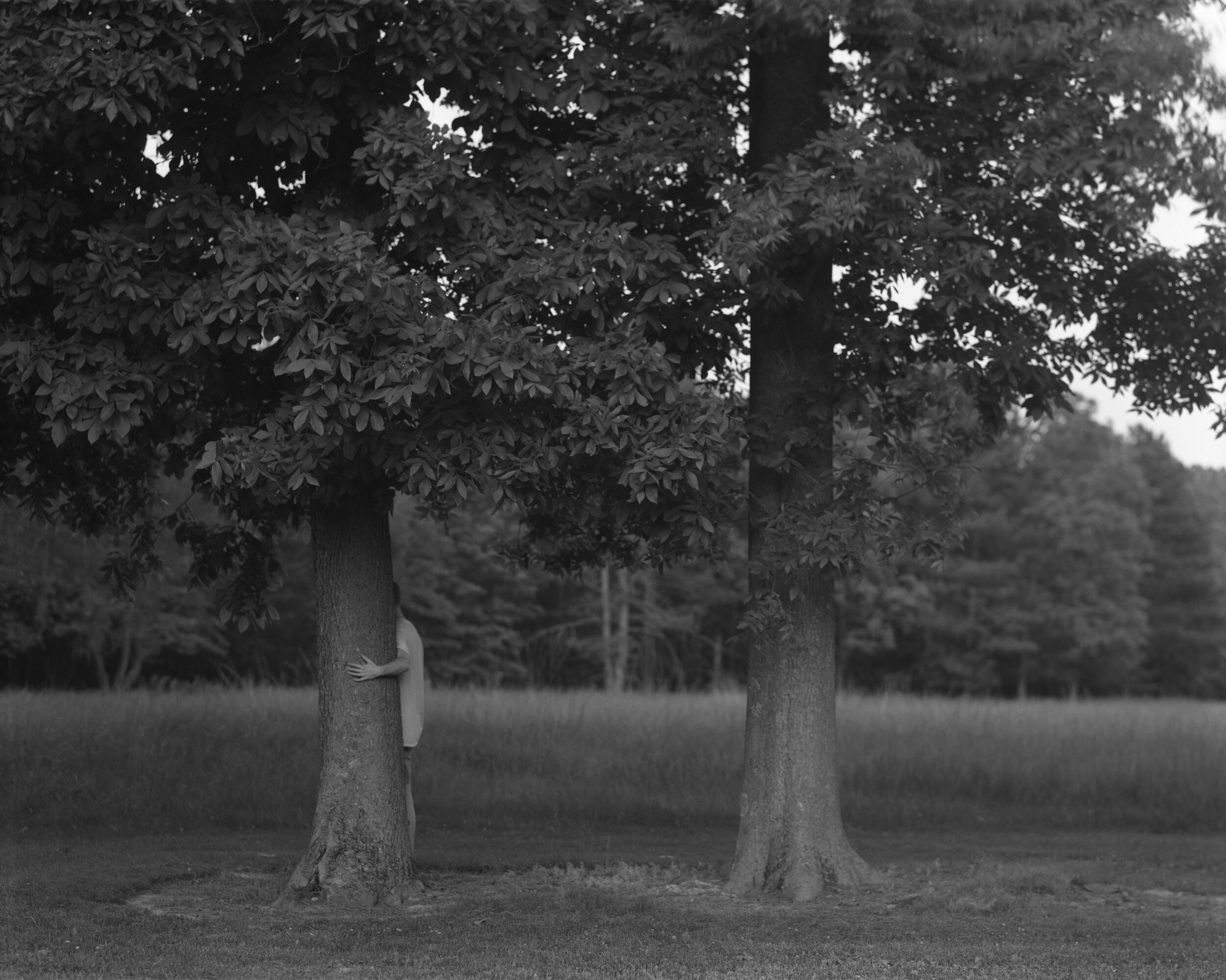 two trees007.jpg