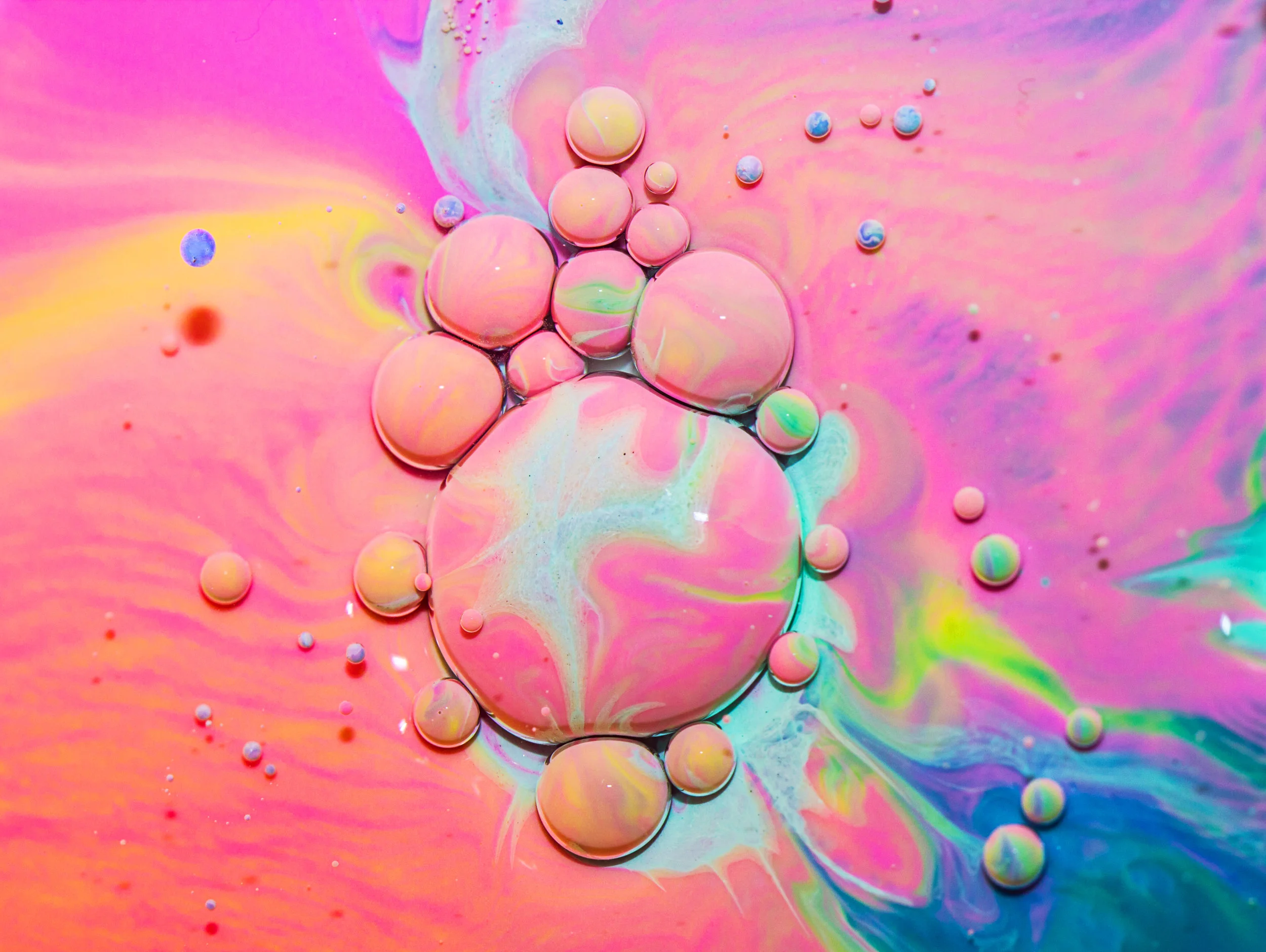candyland5.jpg