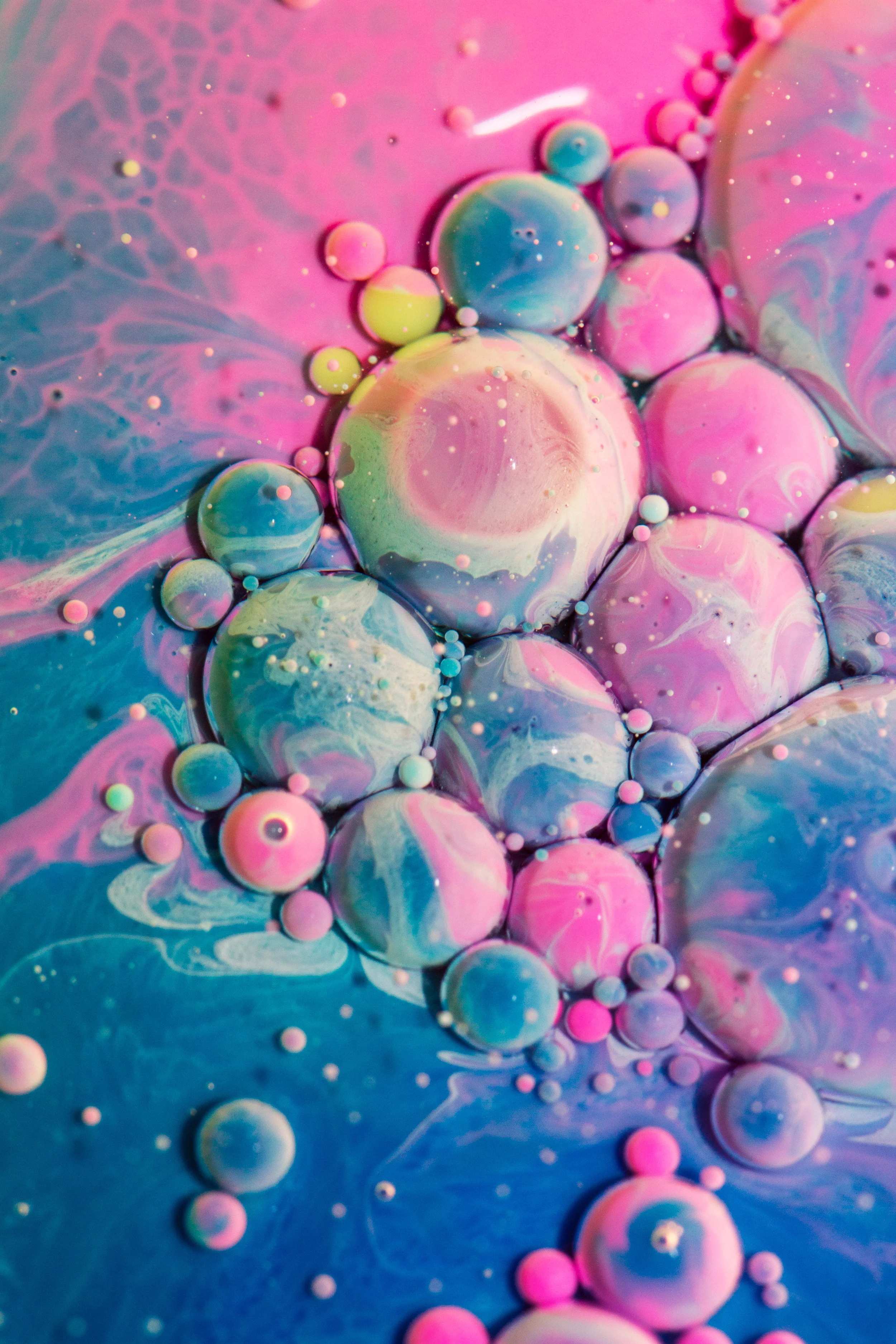 candyland10.jpg