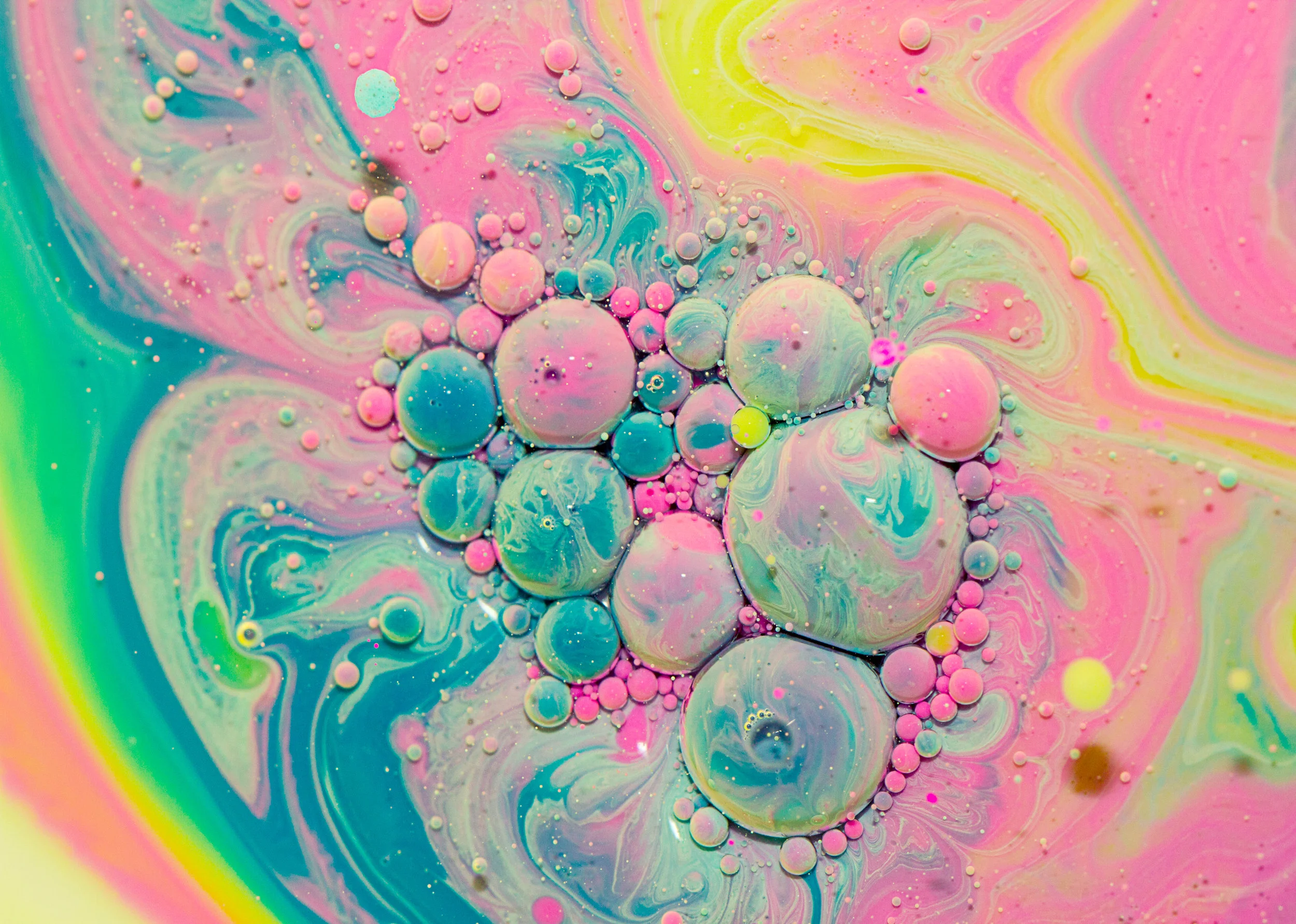 candyland12.jpg