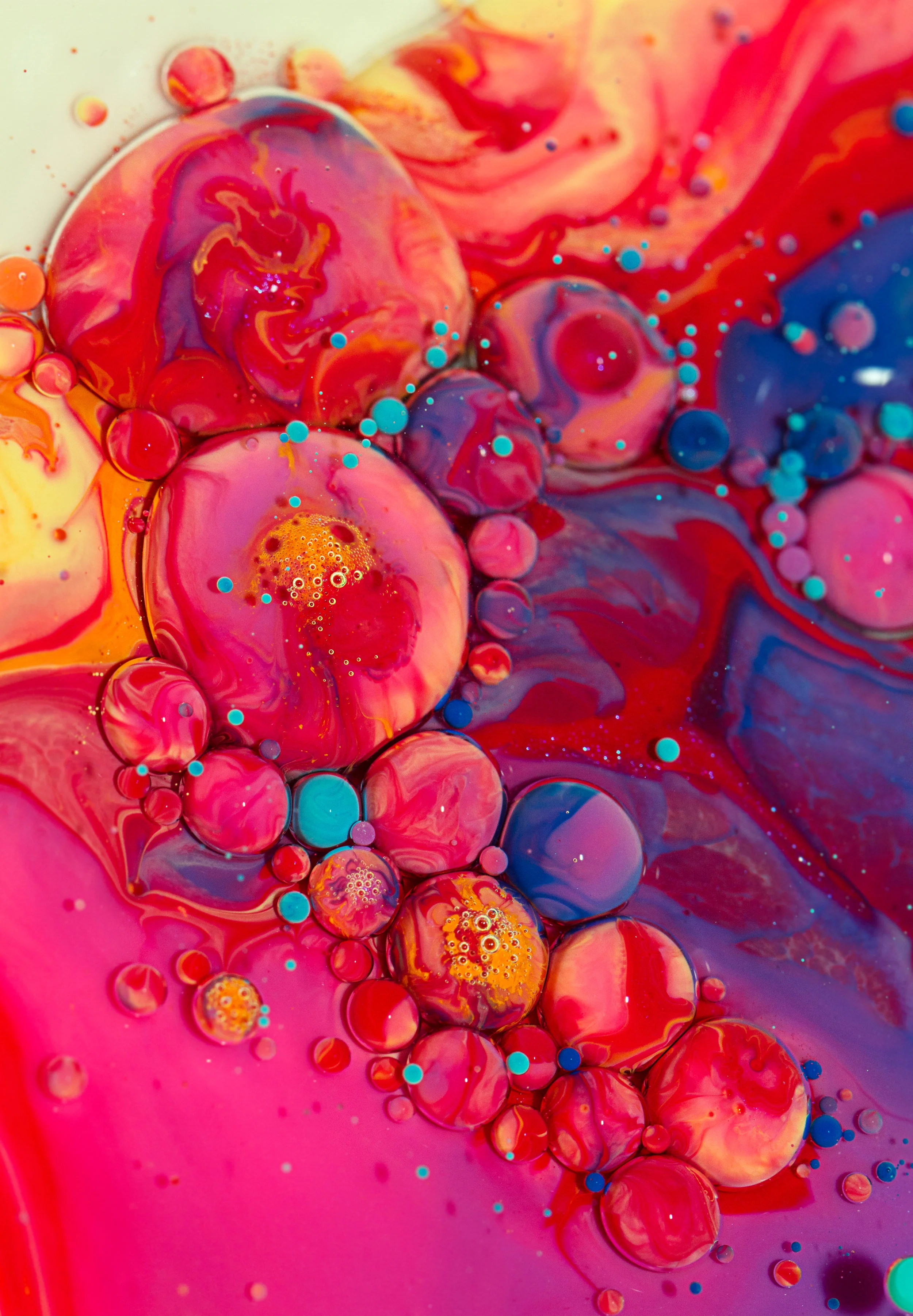 candyland82.jpg