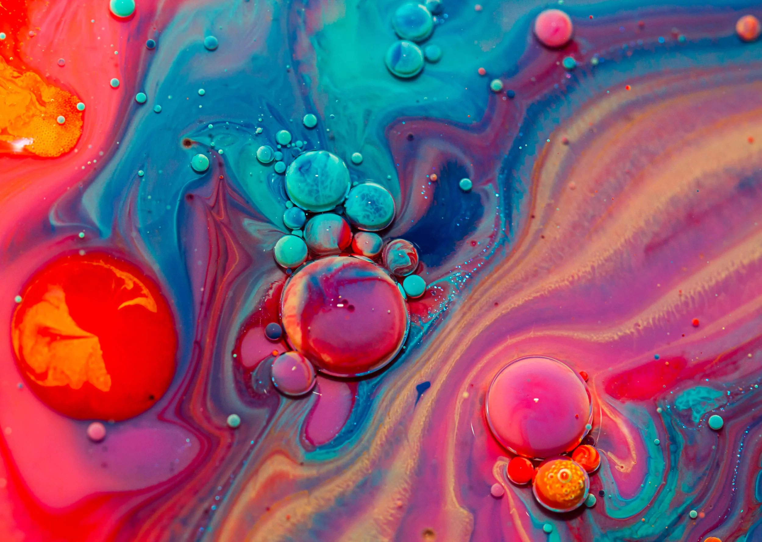 candyland83.jpg