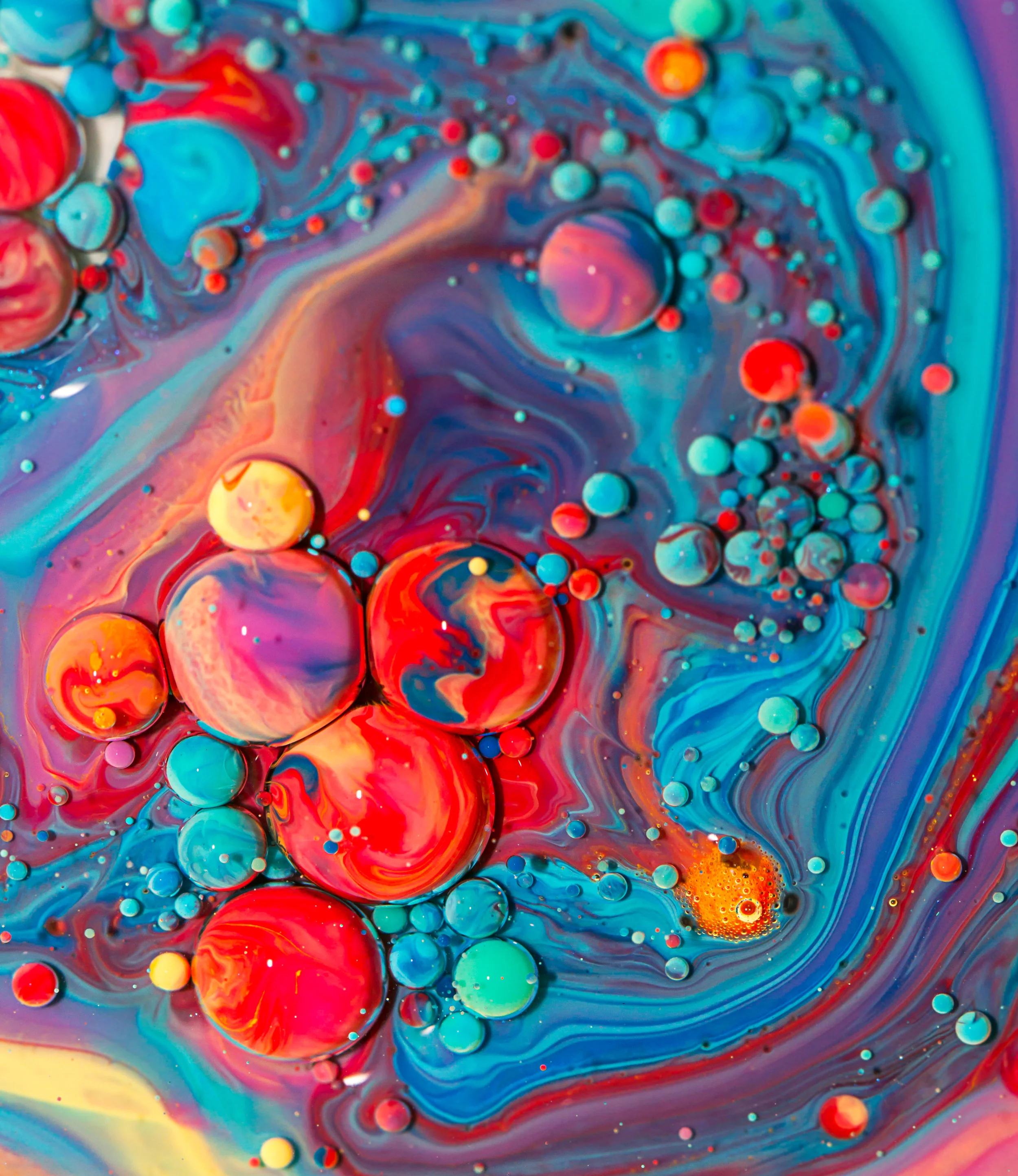 candyland103.jpg