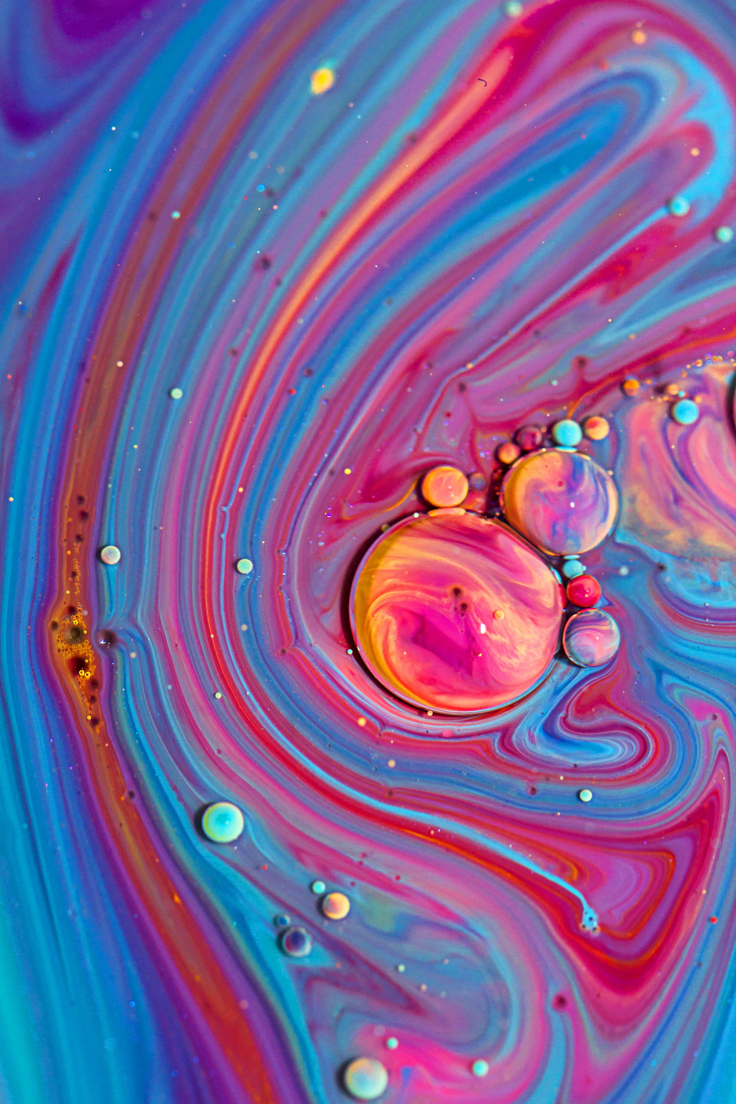 candyland111.jpg