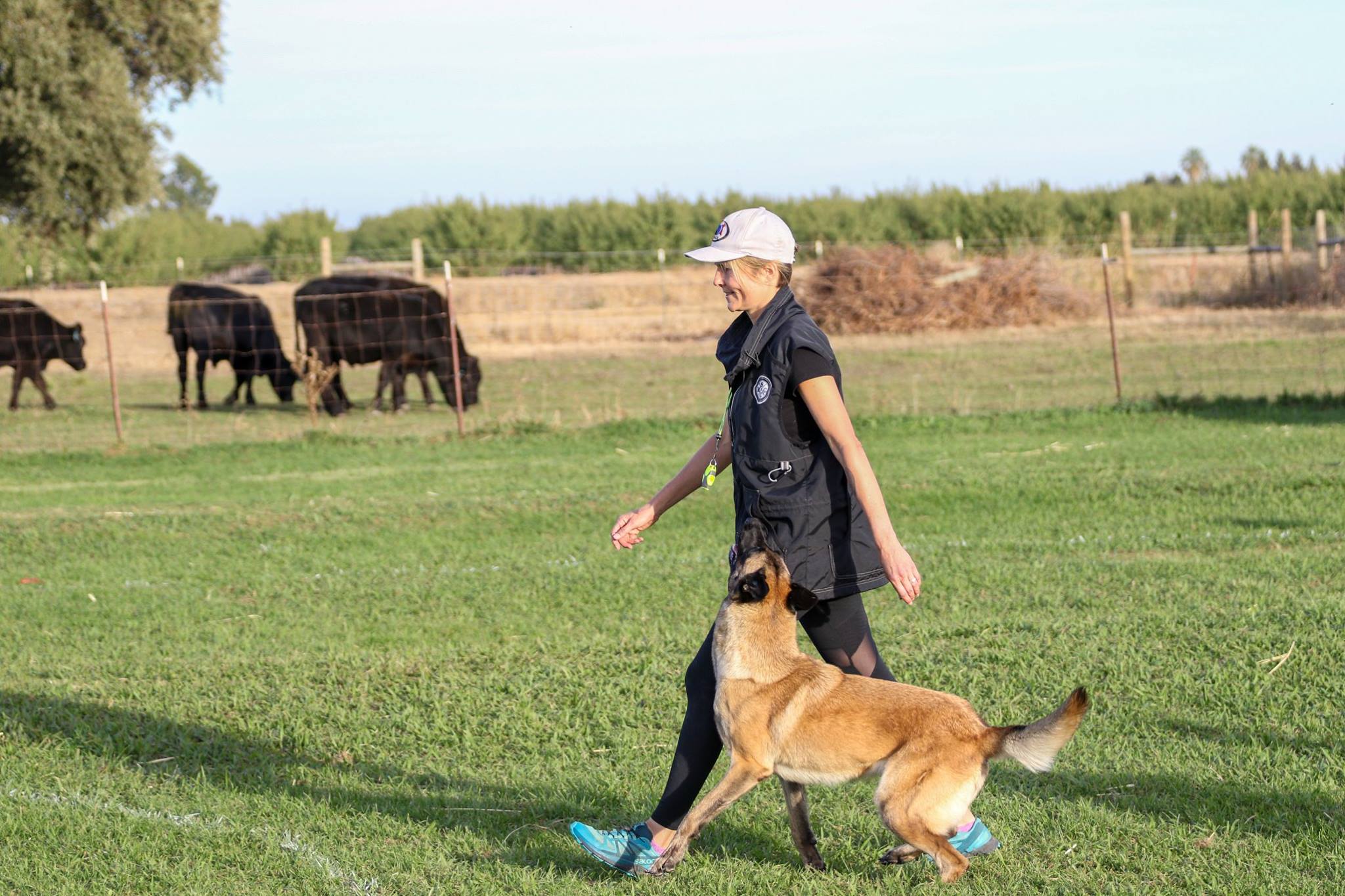 Heeling off leash