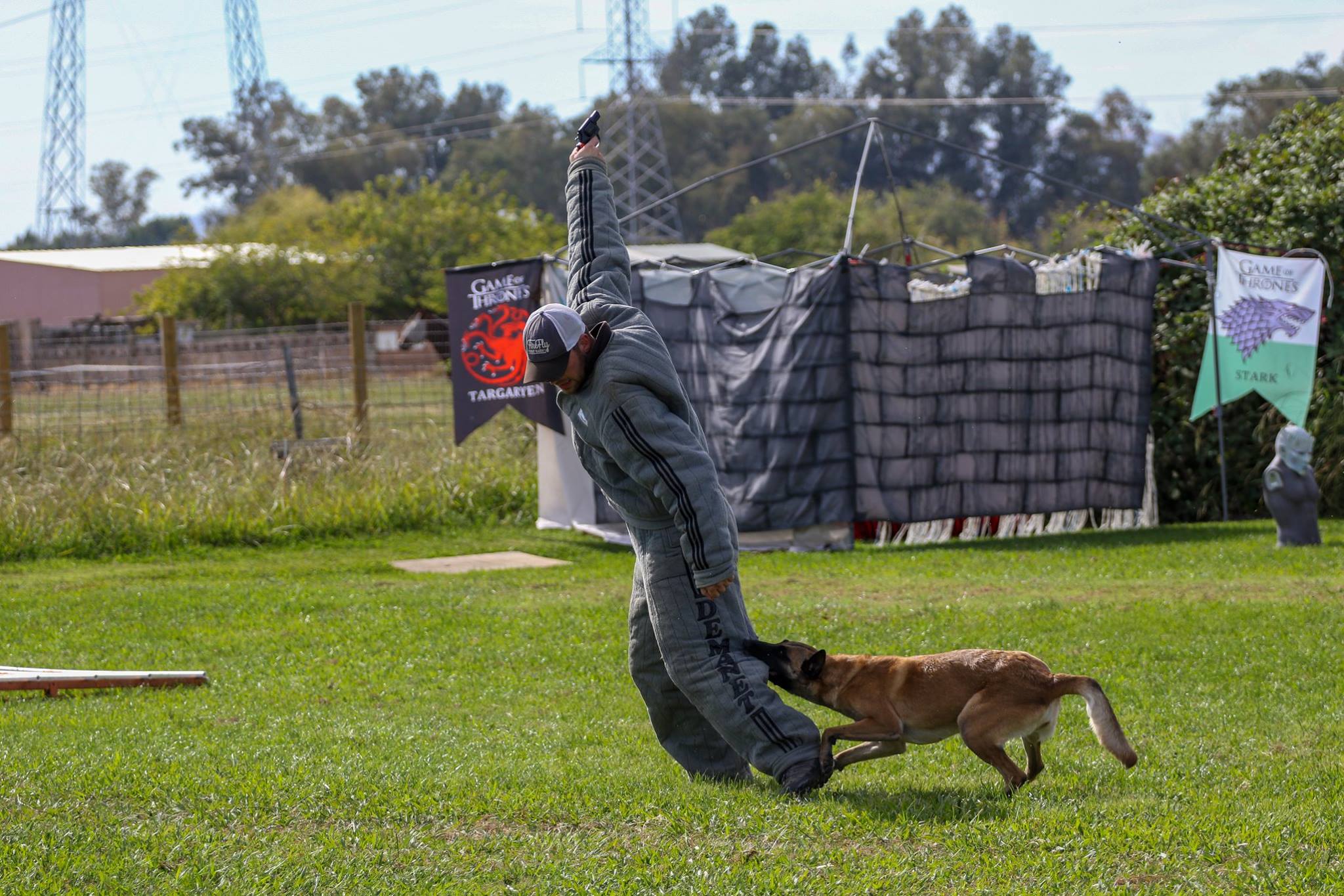 Flee attack