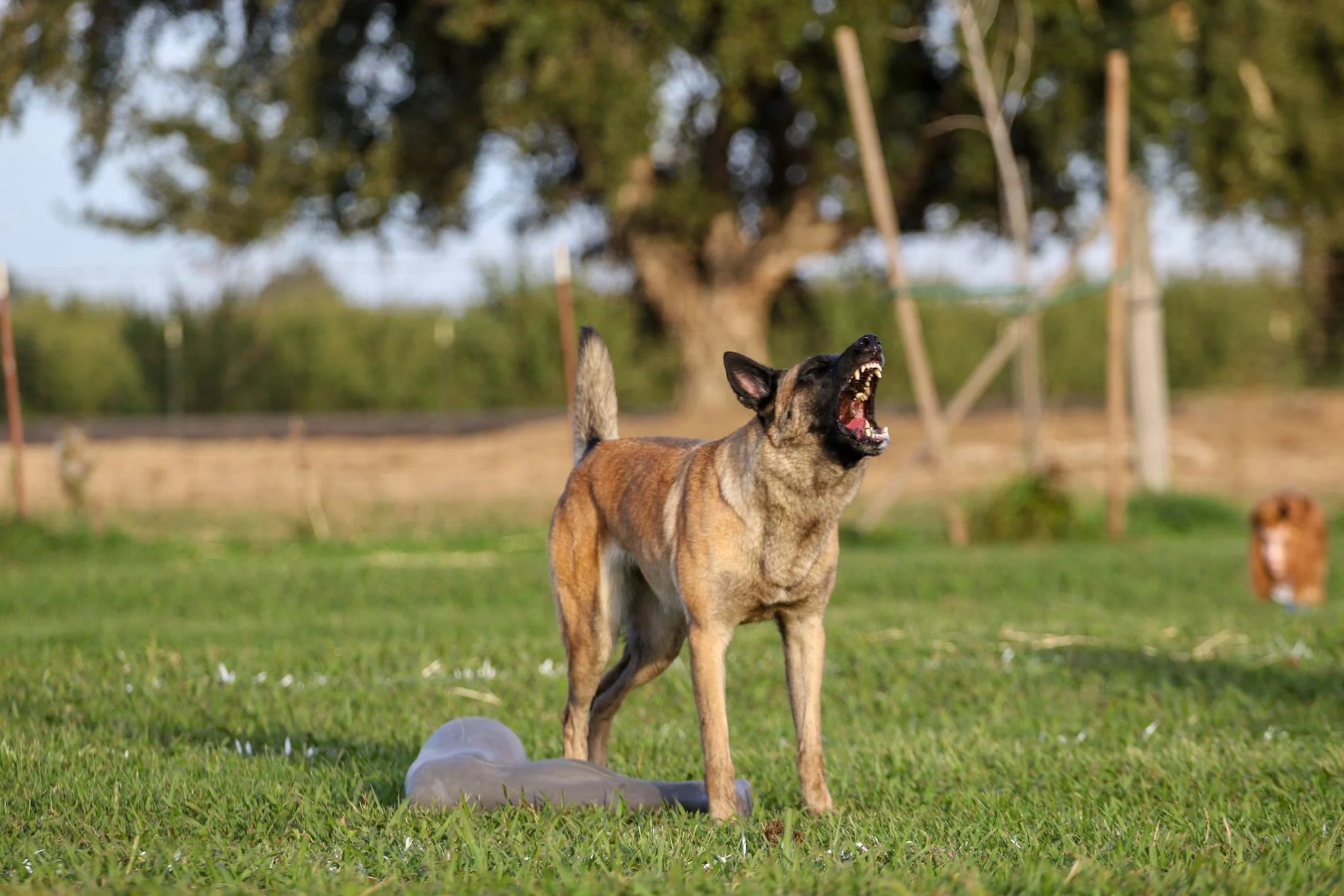 Guard of object