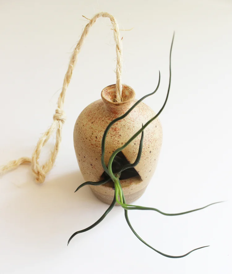 planter1.JPG