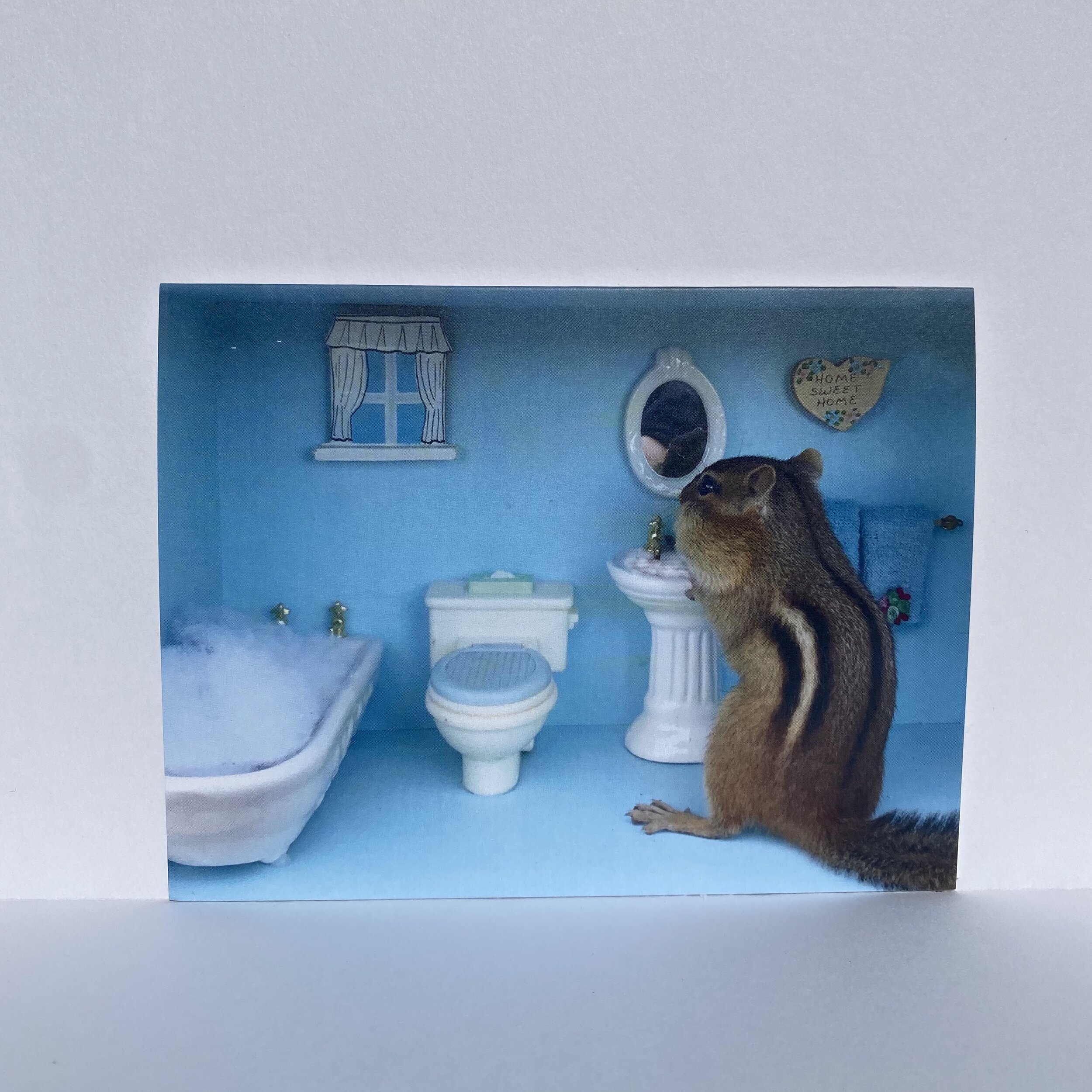 Chipmunk Bathroom