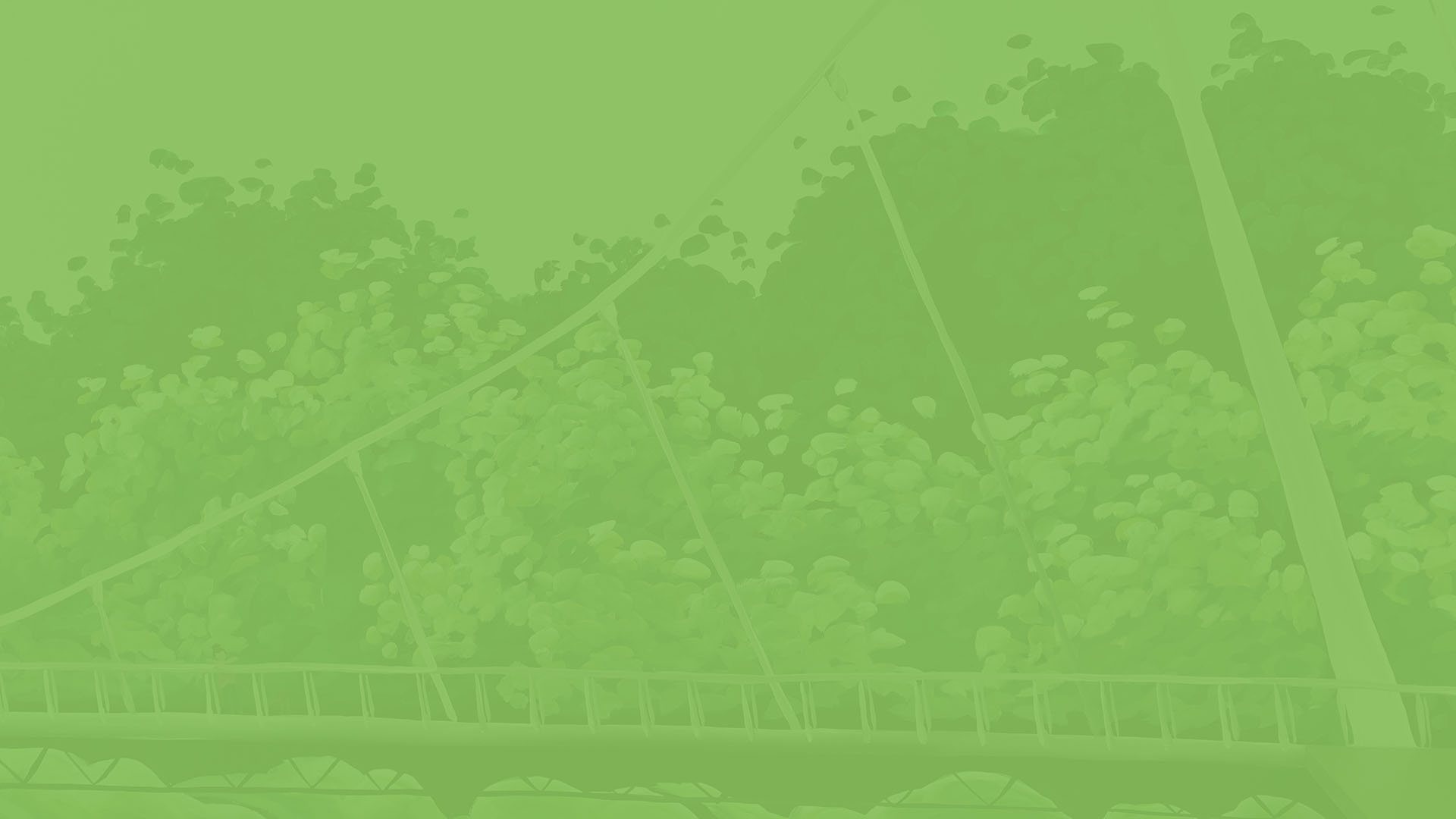 Web_bg_dark_green_watermark_2.jpg
