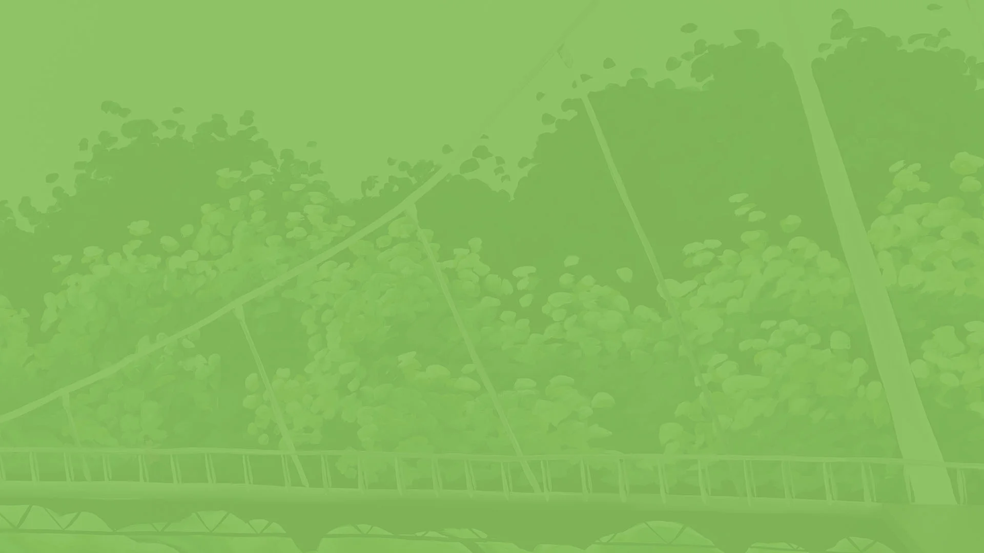 Web_bg_dark_green_watermark_2.jpg
