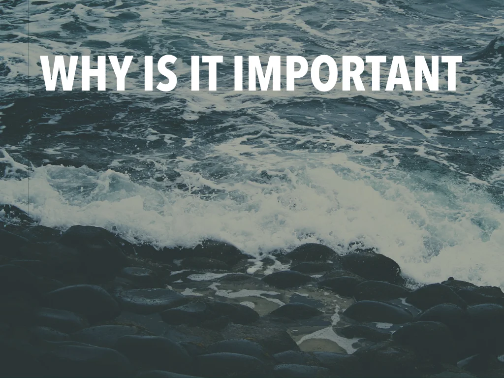 creative strat deck TAKE 3.008.jpeg