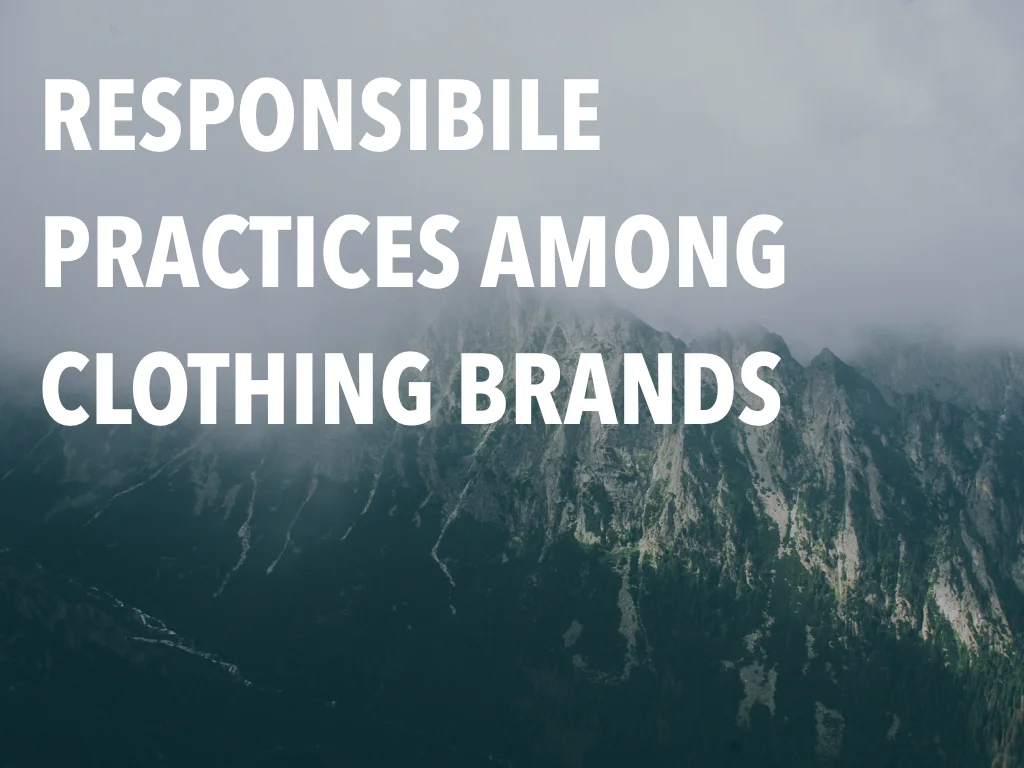 creative strat deck TAKE 3.016.jpeg