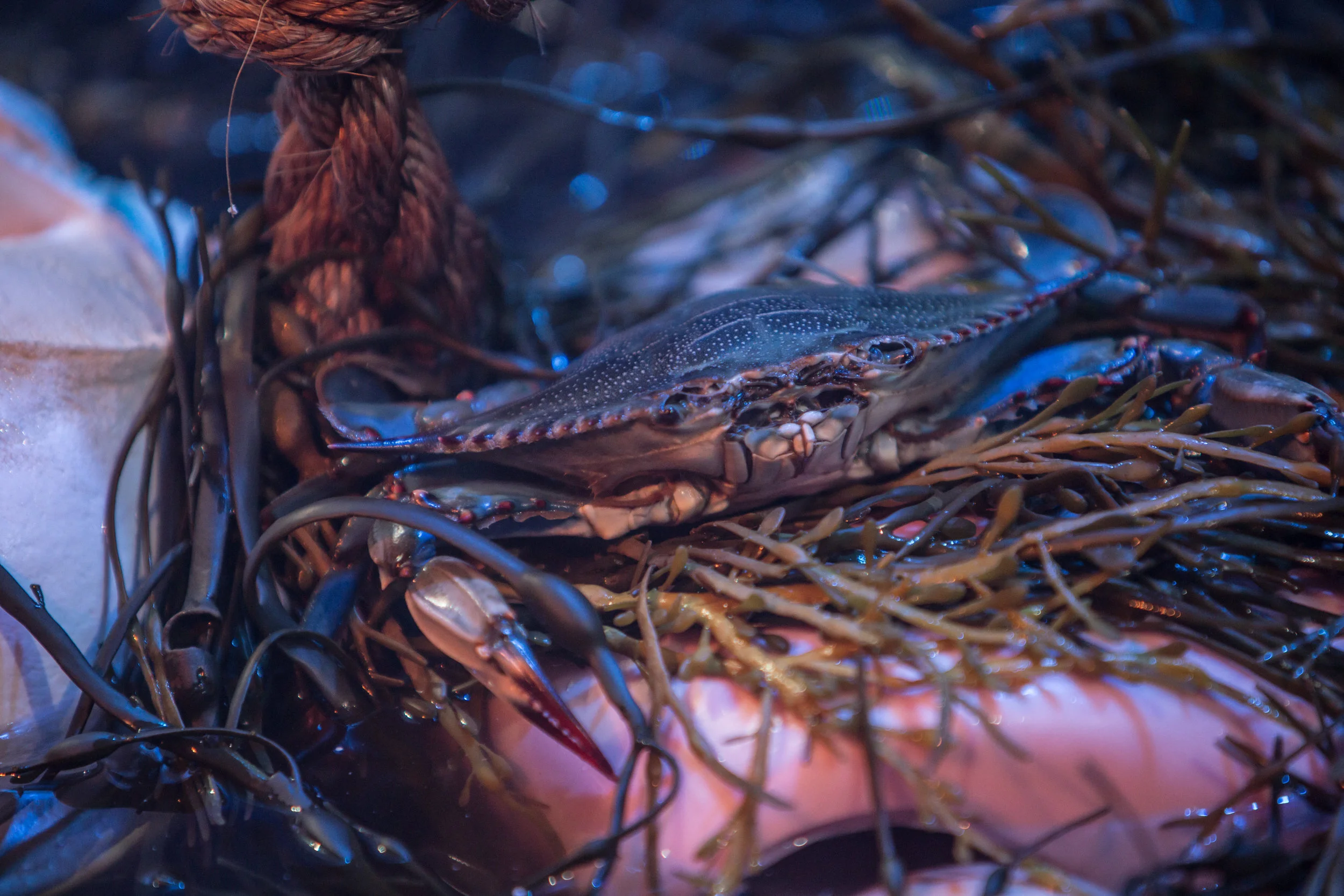 Monica McGivern -30.jpg