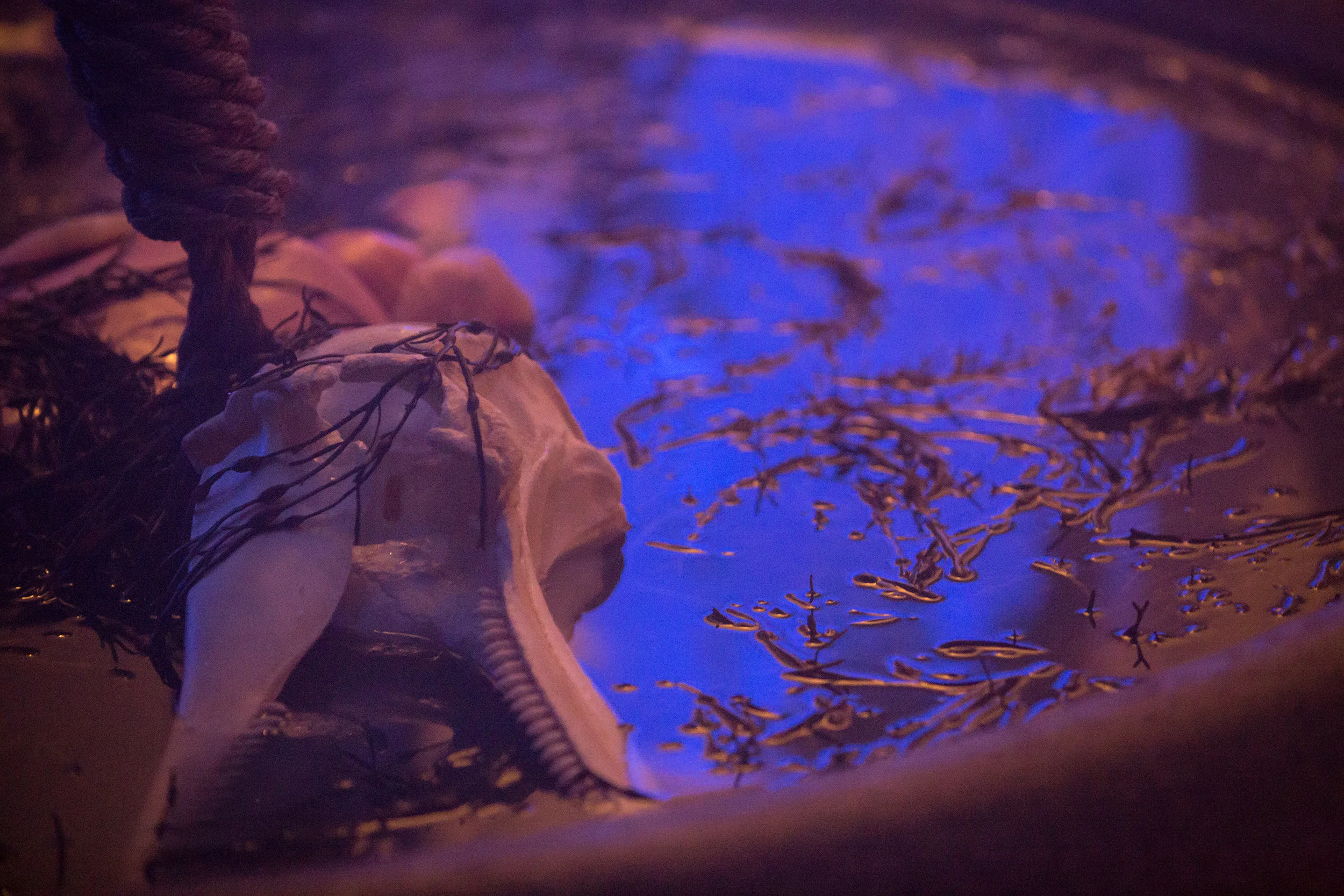 Monica McGivern -110 copy.jpg