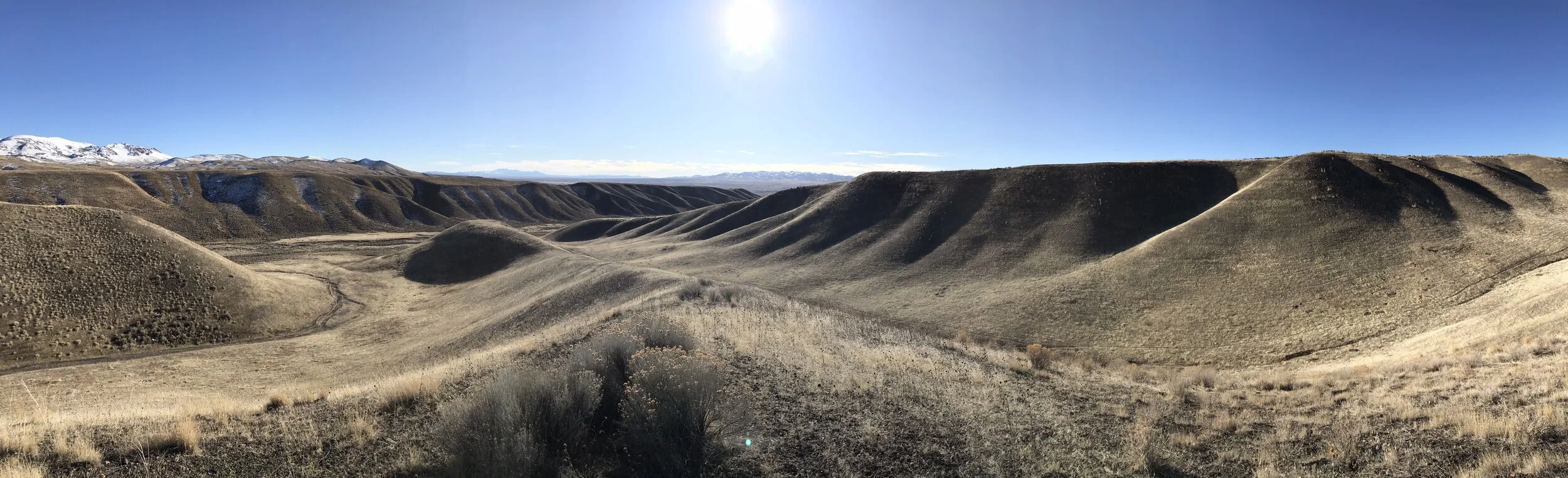 GSV Nevada banner.JPEG