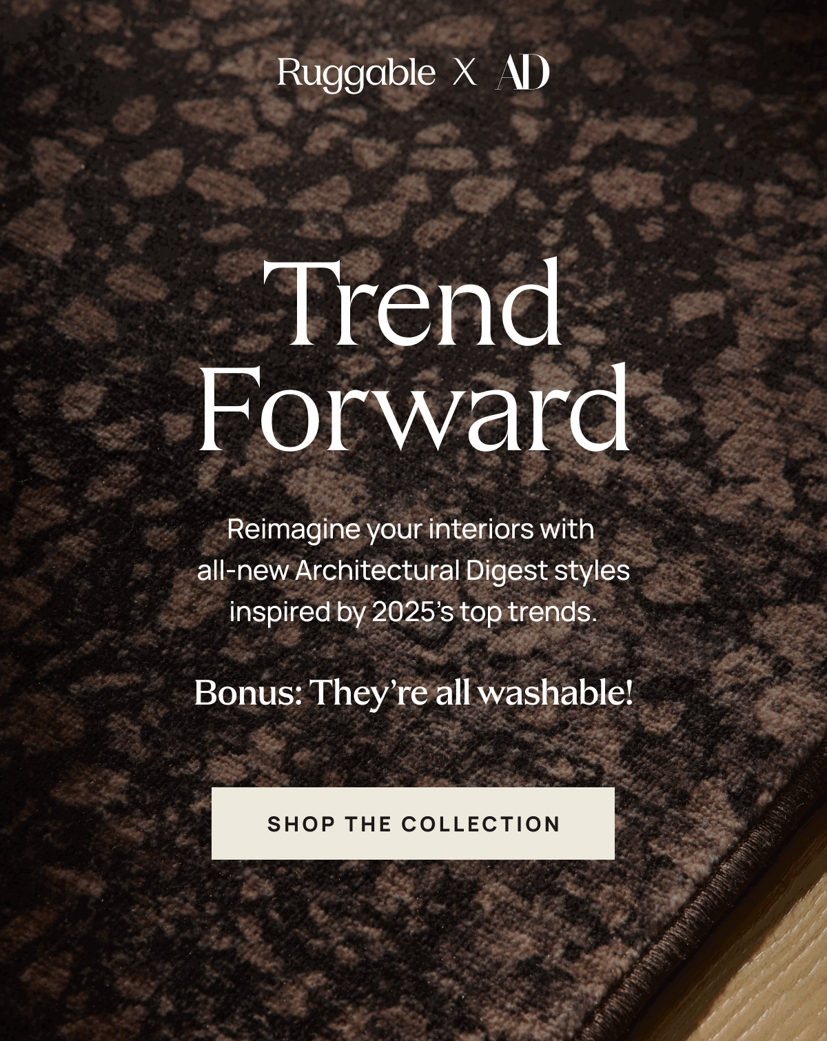 Email 3 - AD 2.0 - Postcard - Macro-US.gif