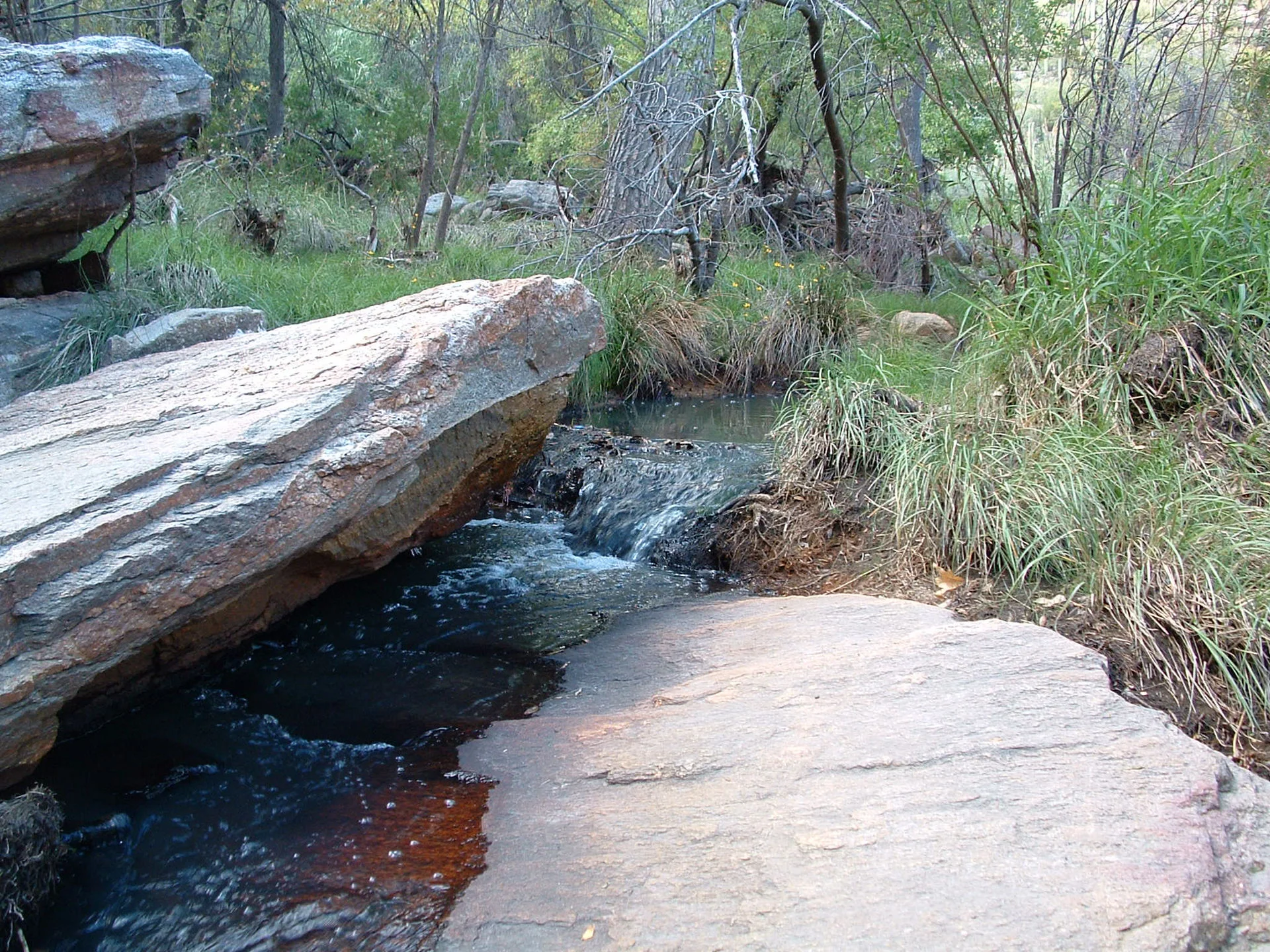 sabino-creek-hike-tucson.jpg