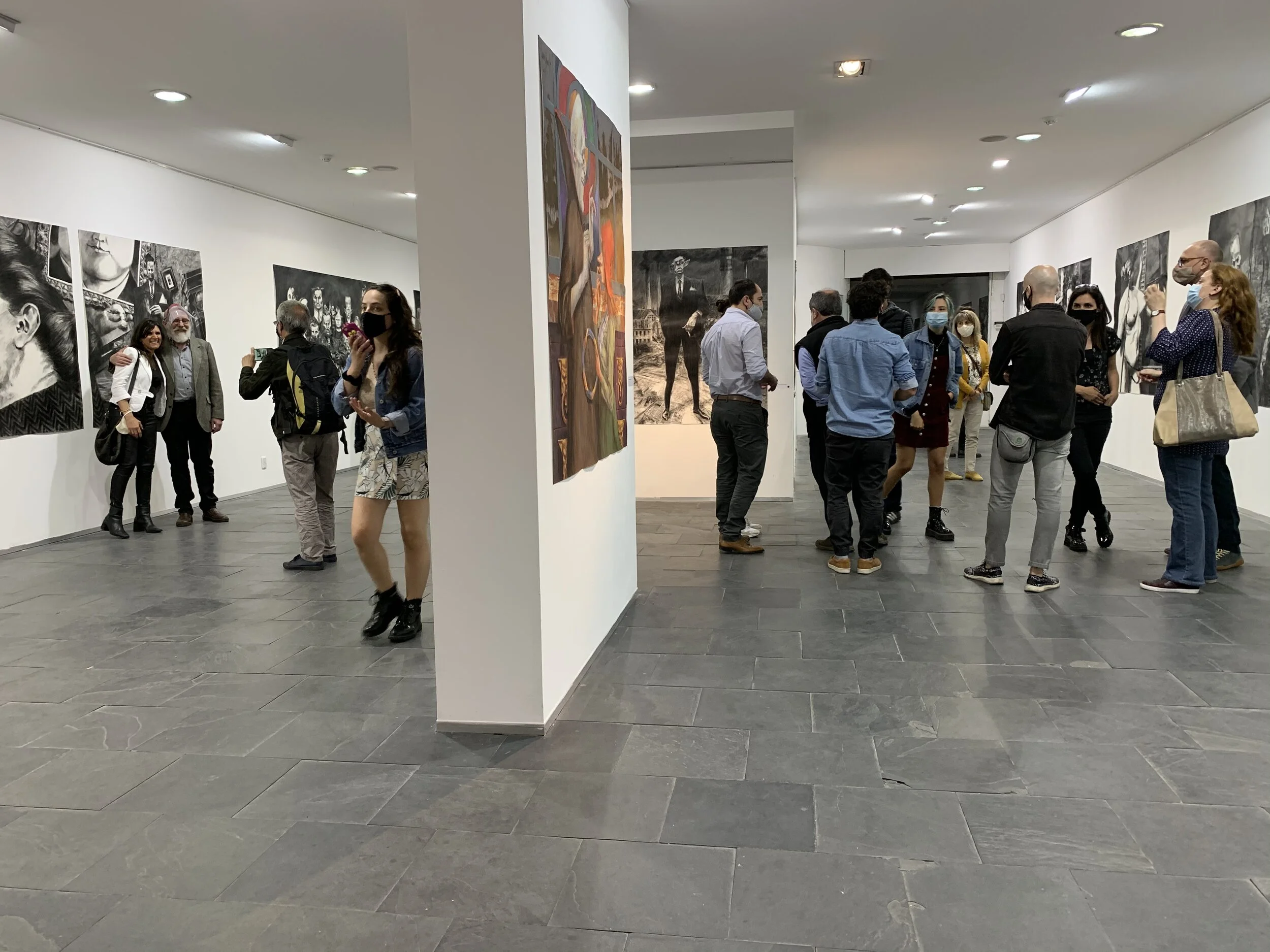 Diana Saravia Gallery (Montdevideo)