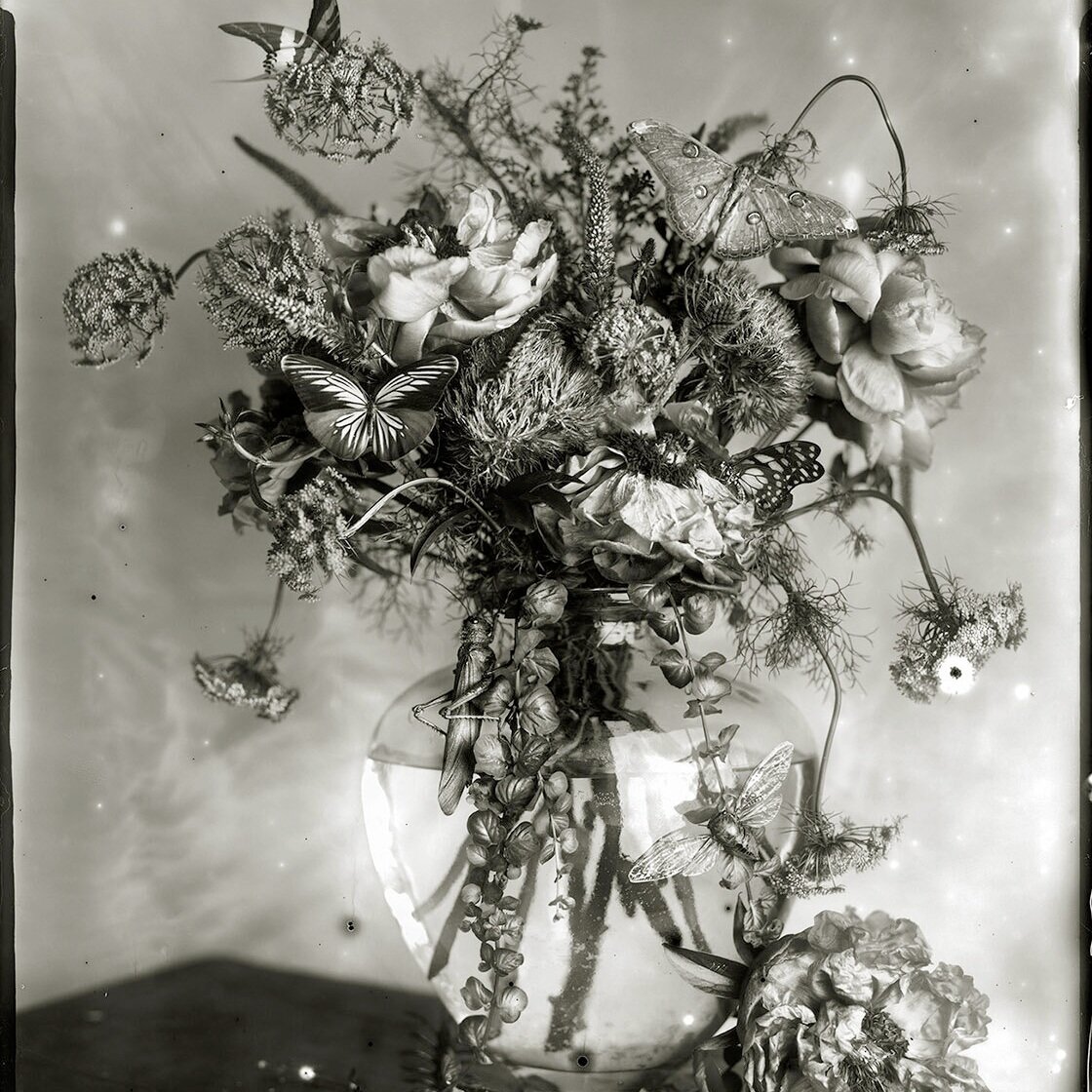   Whitney Lewis-Smith  What Came In With The Flowers   ,  2014 Archival Pigment Ink Print on 100% Cotton Rag Paper 74 x 62,5 x 2,25 in framed Edition 1/3 Jennifer Kostuik Gallery 