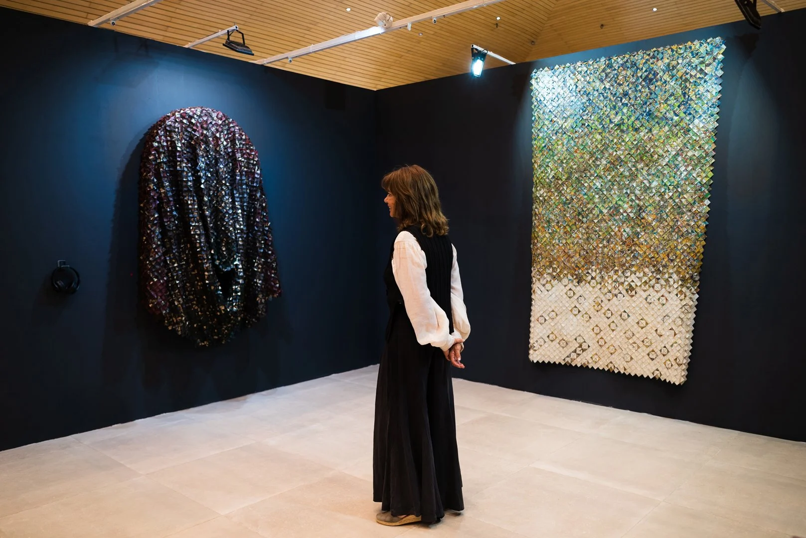 14. Aninat Galería-9.jpg