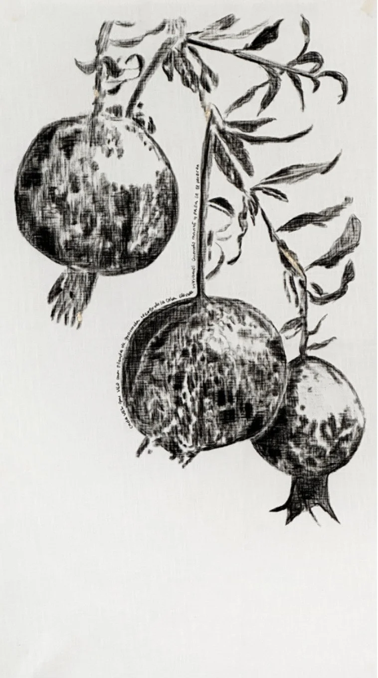 WhatsApp Image 2025-12-29 at 4.40.50 PM.jpeg