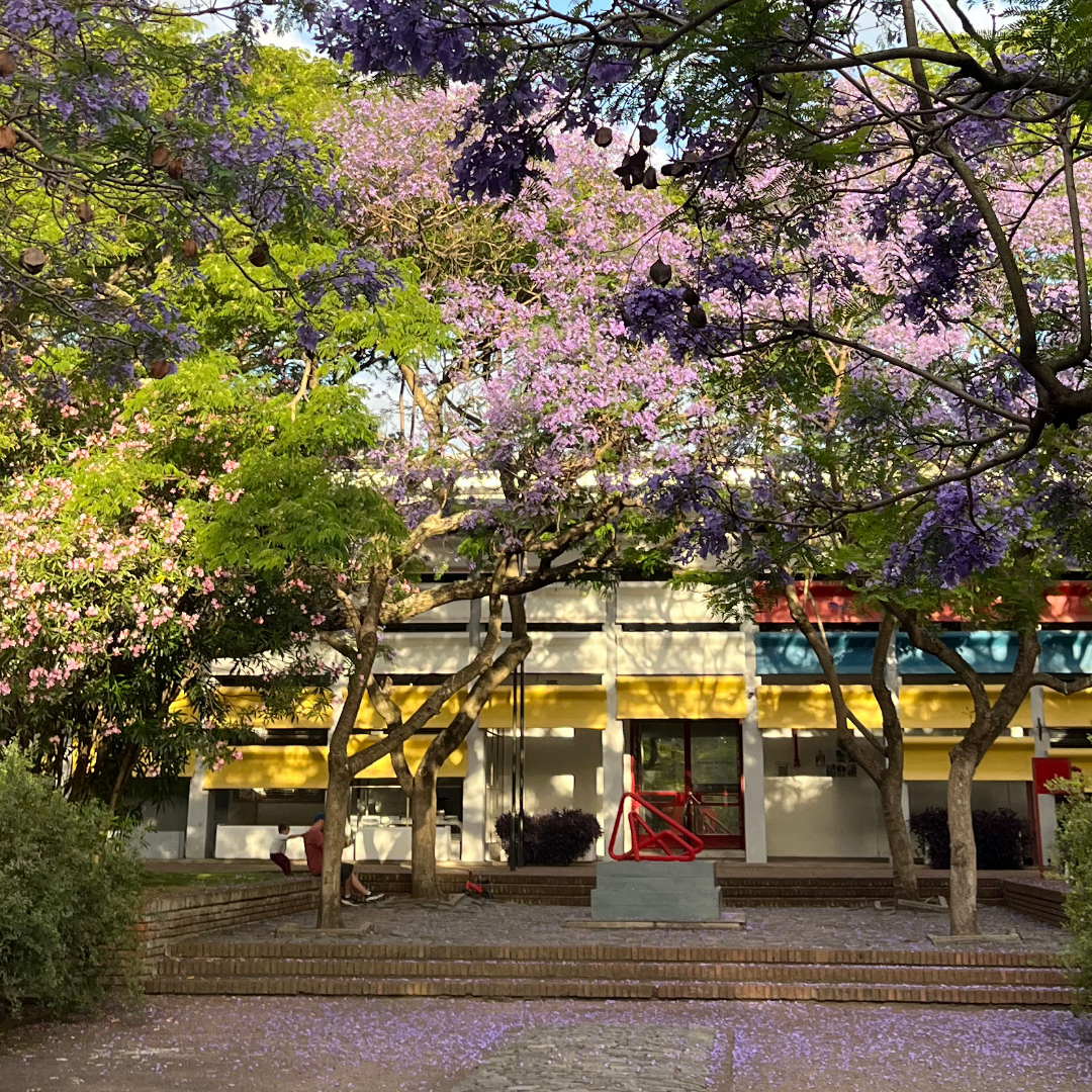 FachadaMNAVjacarandá.png (Copy)