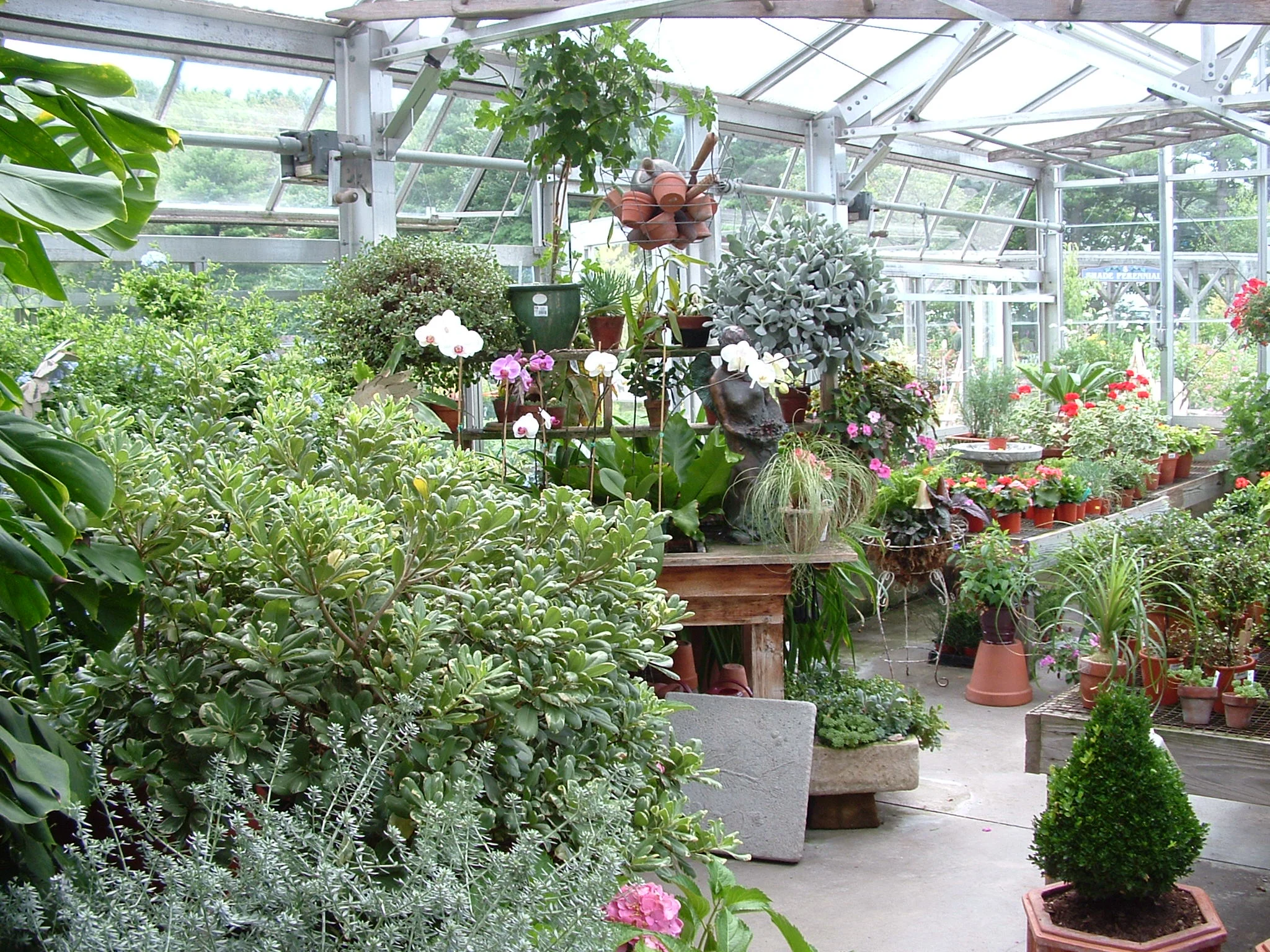 Greenhouse — Allen, Sterling & Lothrop