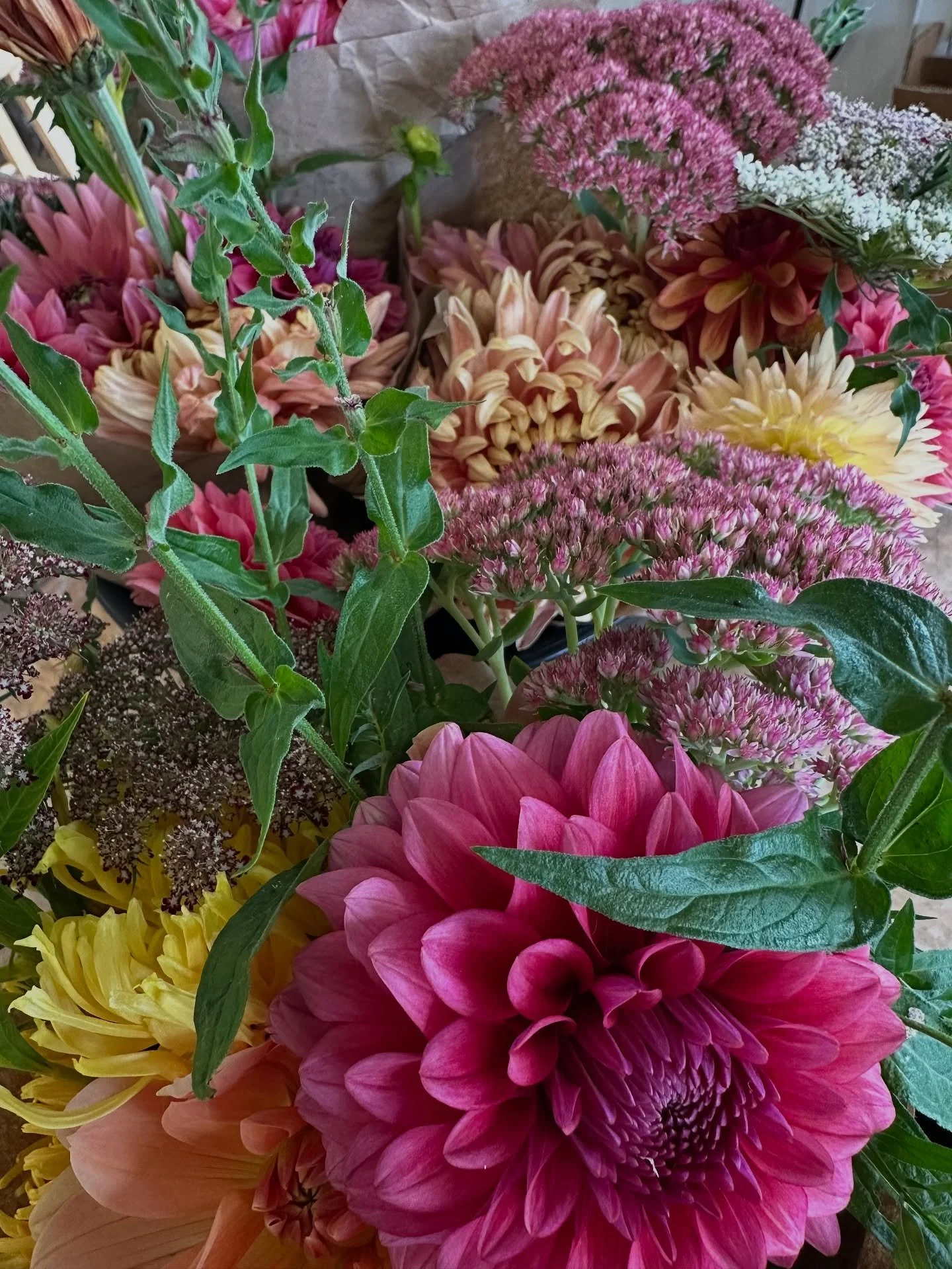 Fresh bouquets available!!
.
Also don&rsquo;t forget that Riley and the retail crew are continuously working on the gift shop adding new and fun items all the time!!
.
.
.
#maine #supportsmall #supportlocal #familyownedandoperated #localsupportingloc