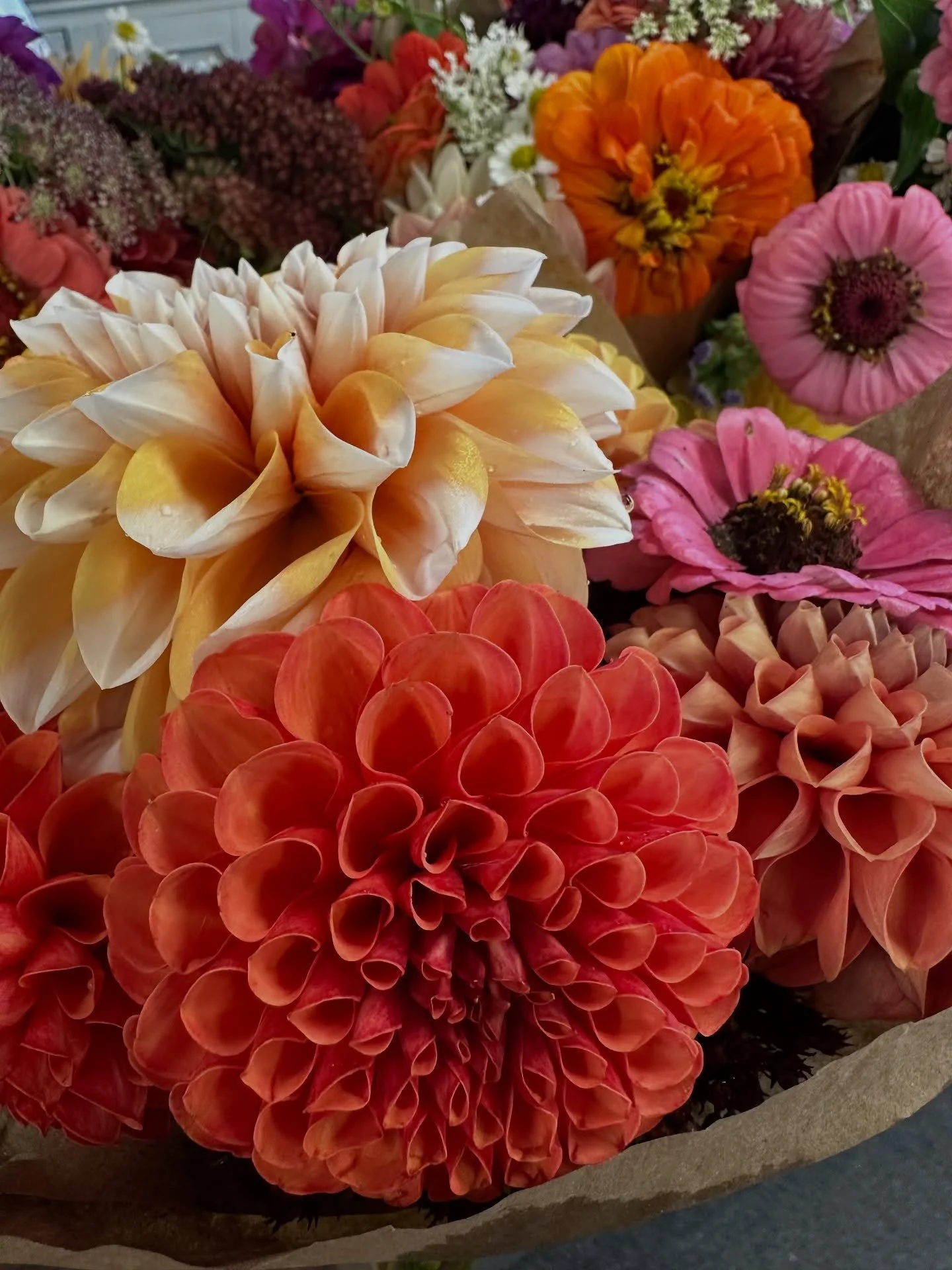 Wow you can really get an essence of fall from these beautiful bouquets!
.
Fresh locally cut and grown bouquets available again this week!! This may be the last week due to weather conditions so take advantage and enjoy these beauties!!
.
.
.
#maine