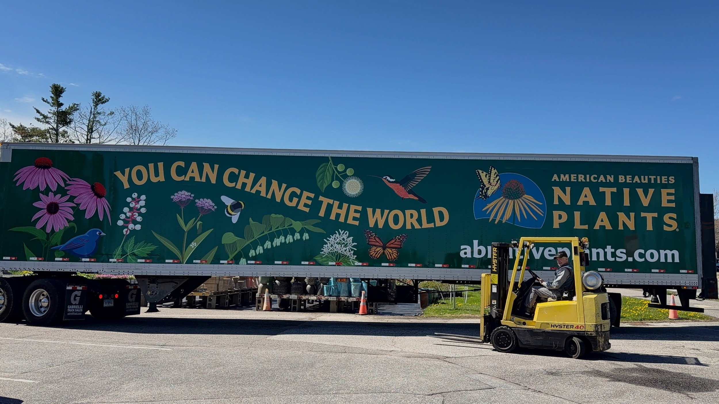Bee the change, you can change the world! 🐝 🌎 
.
We&rsquo;re proud to promote native plants here at AS&amp;L and the many benefits they bring. You truly can make an impact on the environment around you, bee the change!
.
We just received another la
