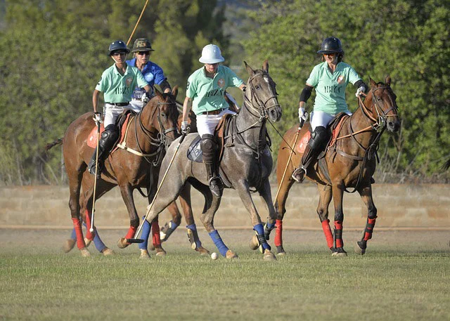 horse-polo.jpg