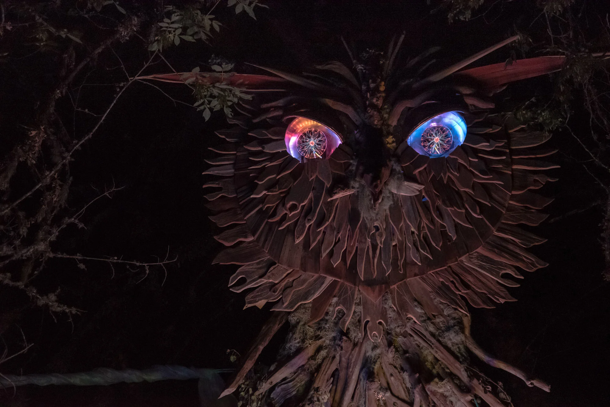 Owl Detail night.jpg