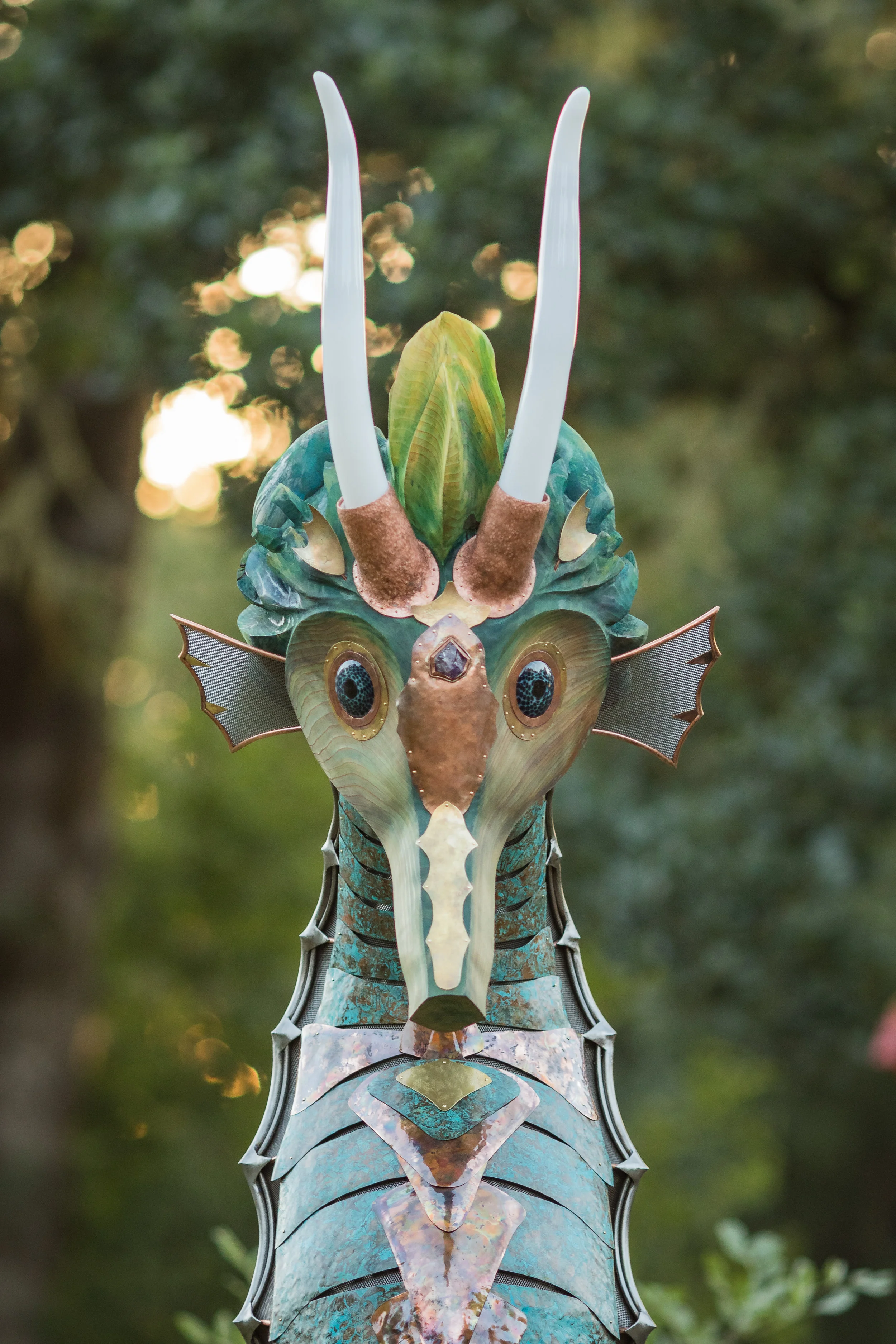 Seahorse Front Face.JPG