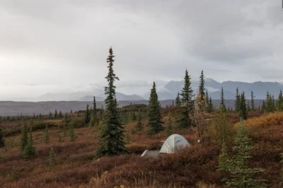 Campsite at Wonderlake, Denali, Alaska