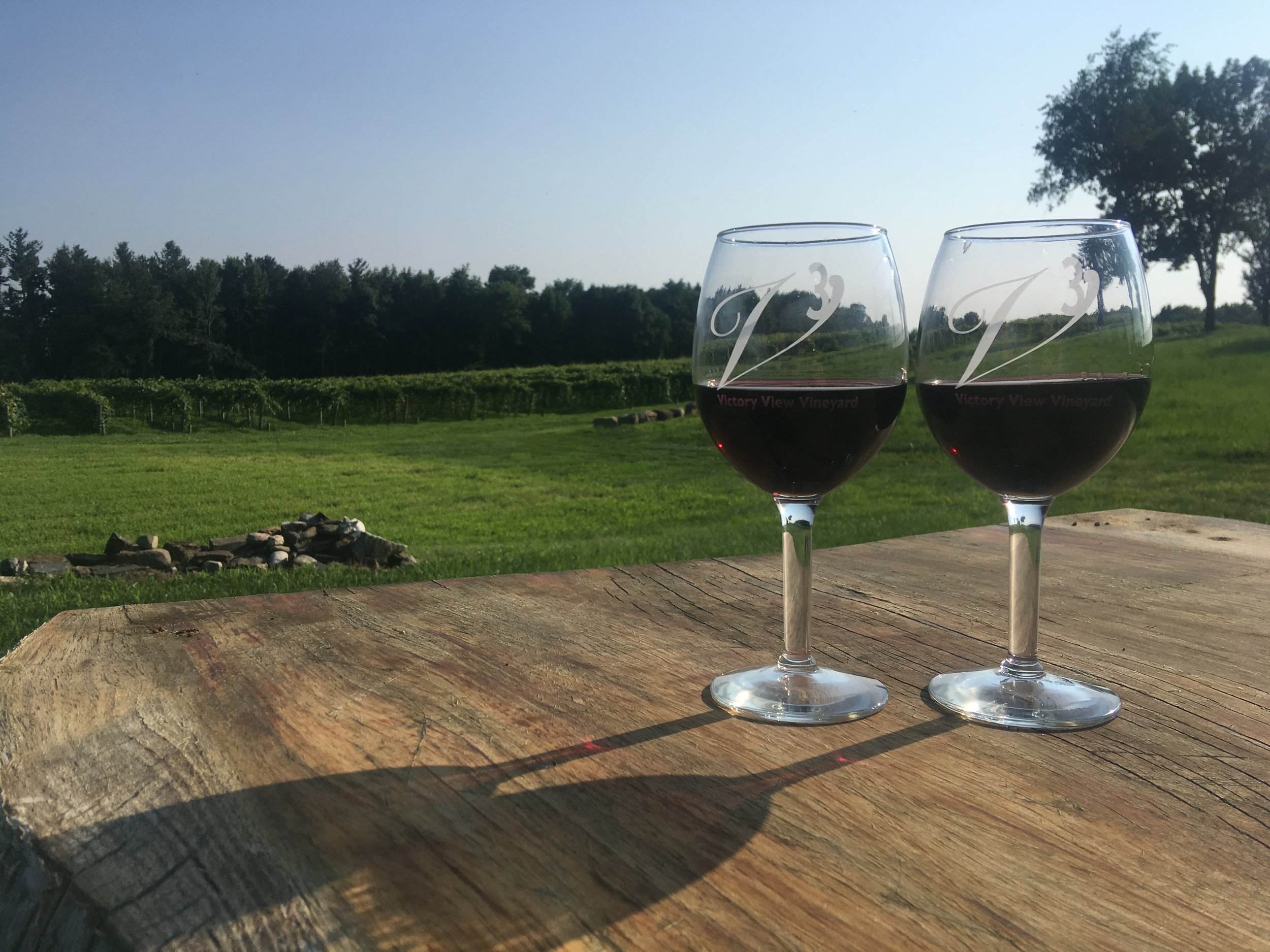 View of the vineyard and the 'V' Cubed logo