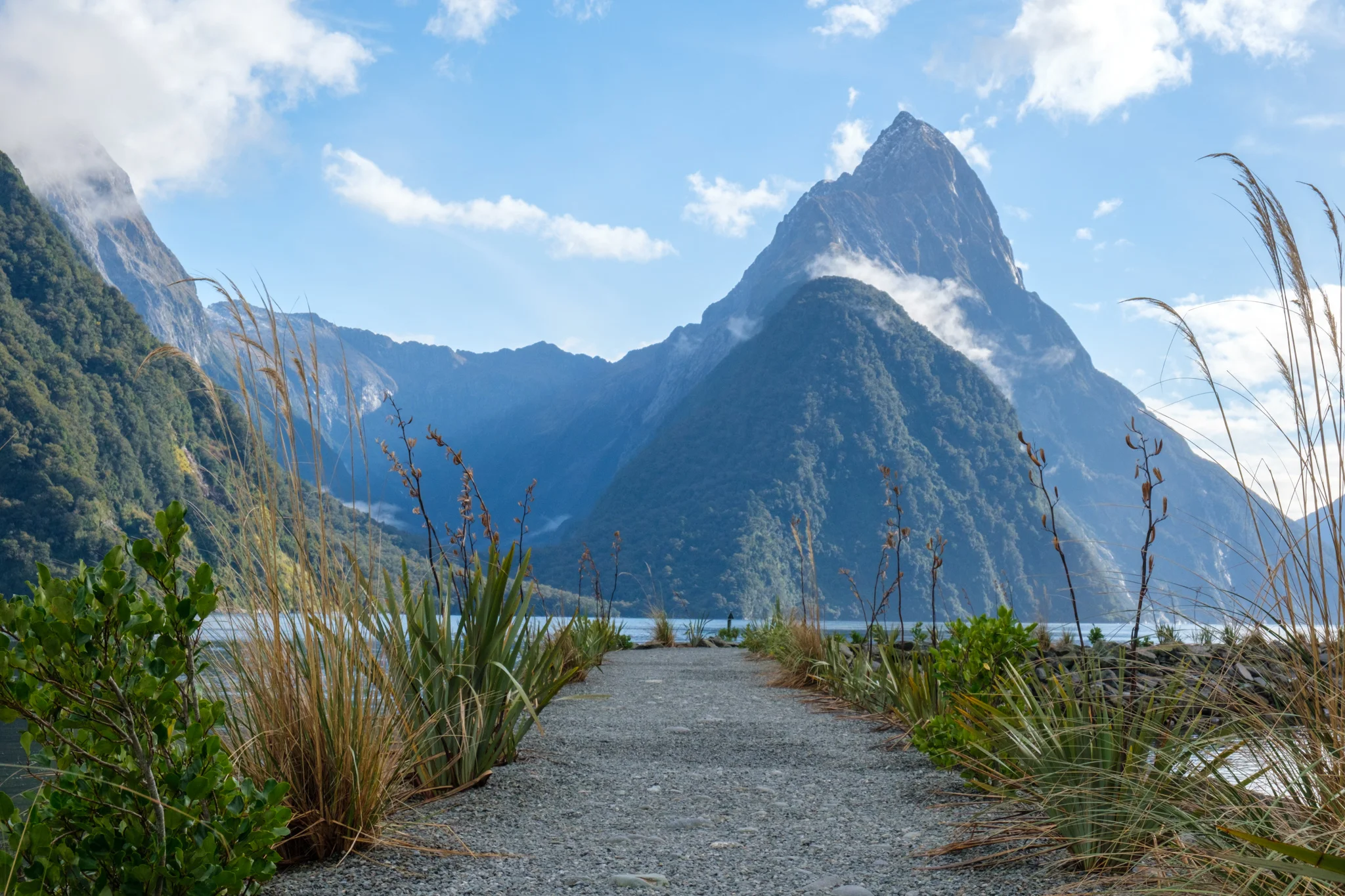 NewZealand2019-279.jpg