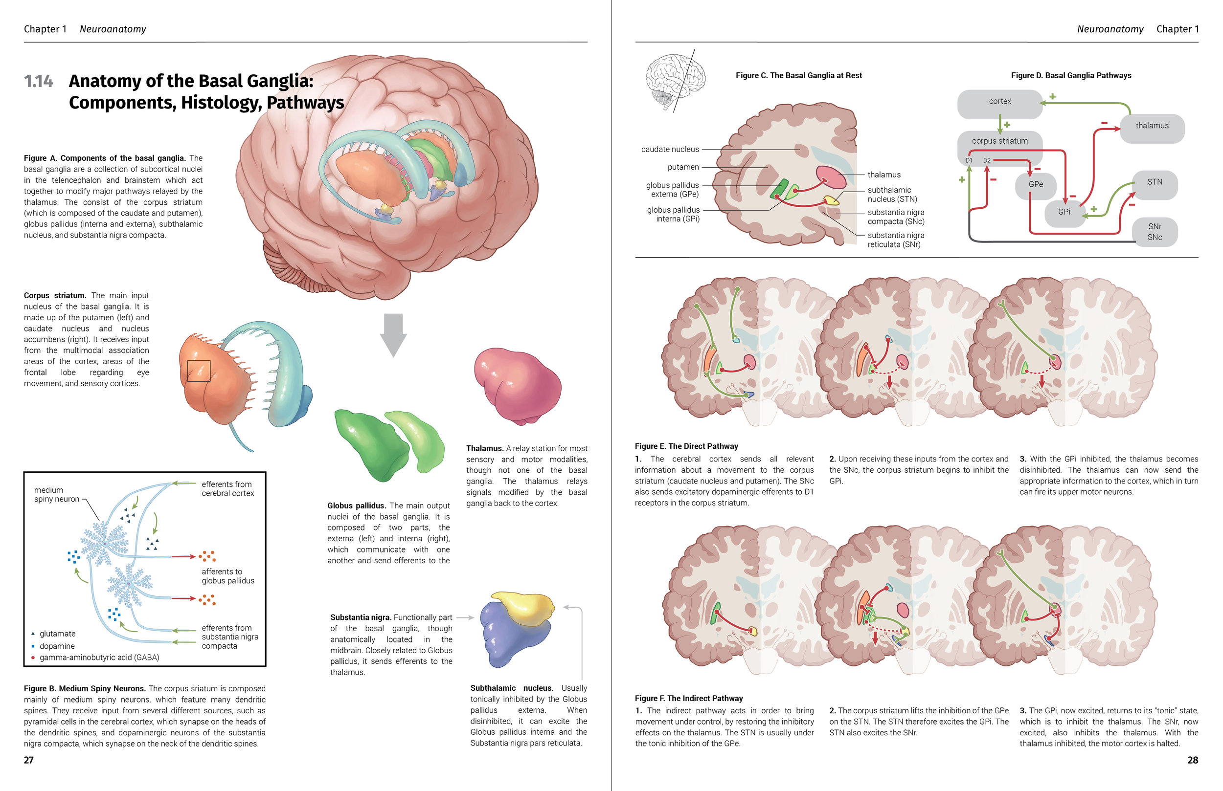 MSC2012Y-14-FinalLayout-Lin-Aileen-RGB-01.jpg