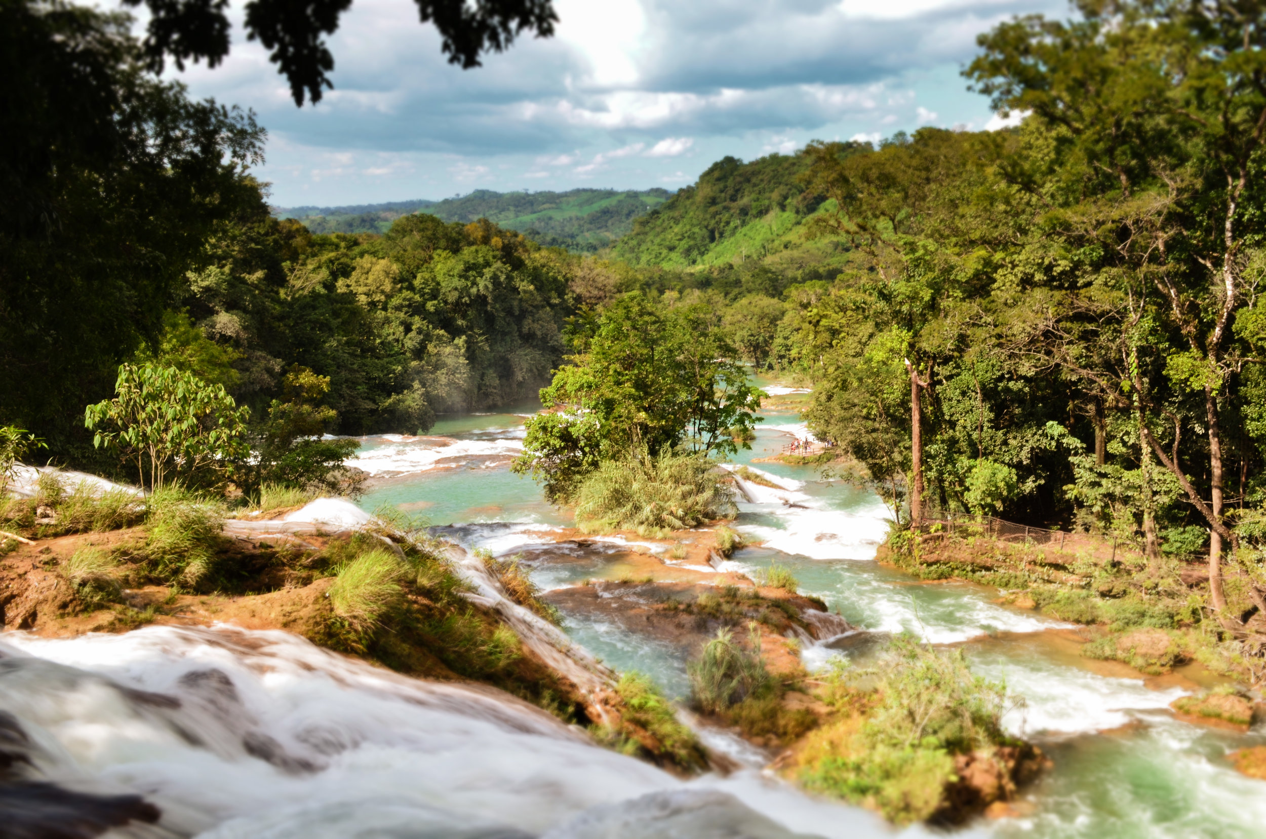 lacandon jungle tour