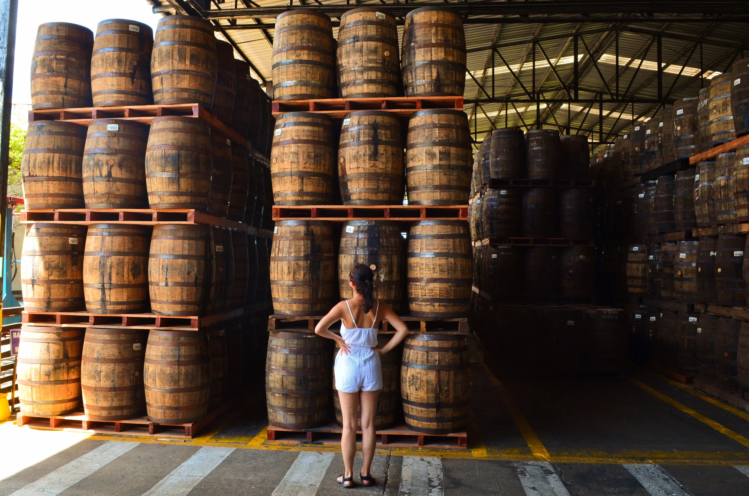 Admiring the barrels in the aging room