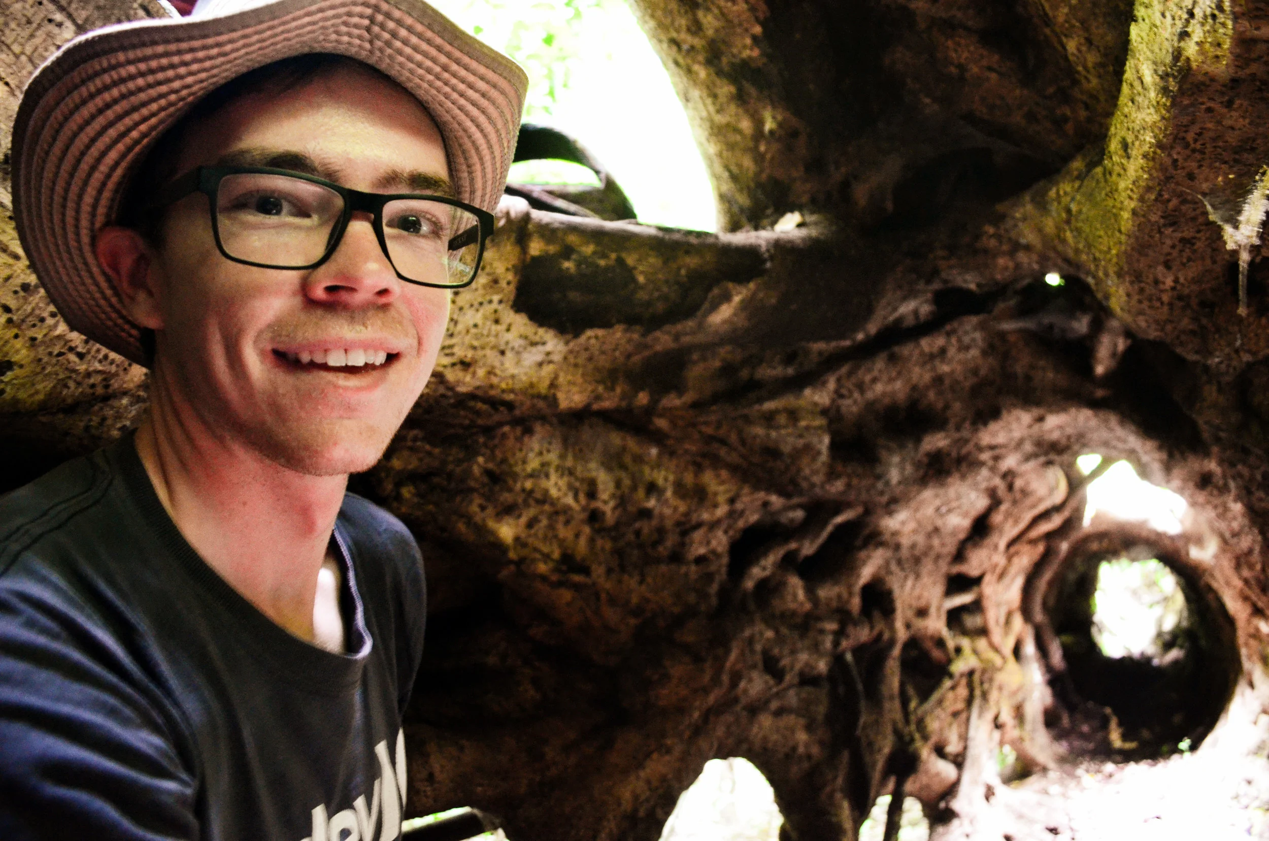 Jared inside a matapalo tree