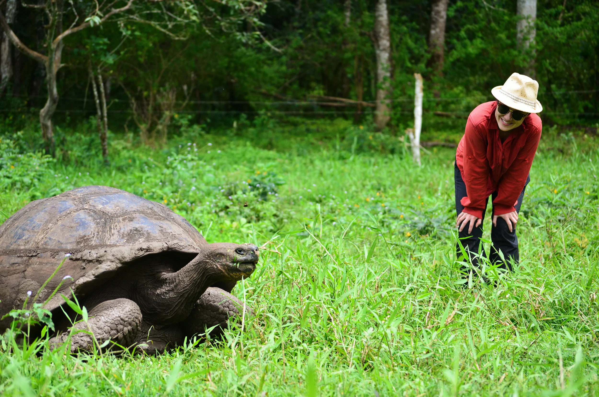 Rebecca has a moment with a giant tortoise at the preserve on Santa Cruz Island