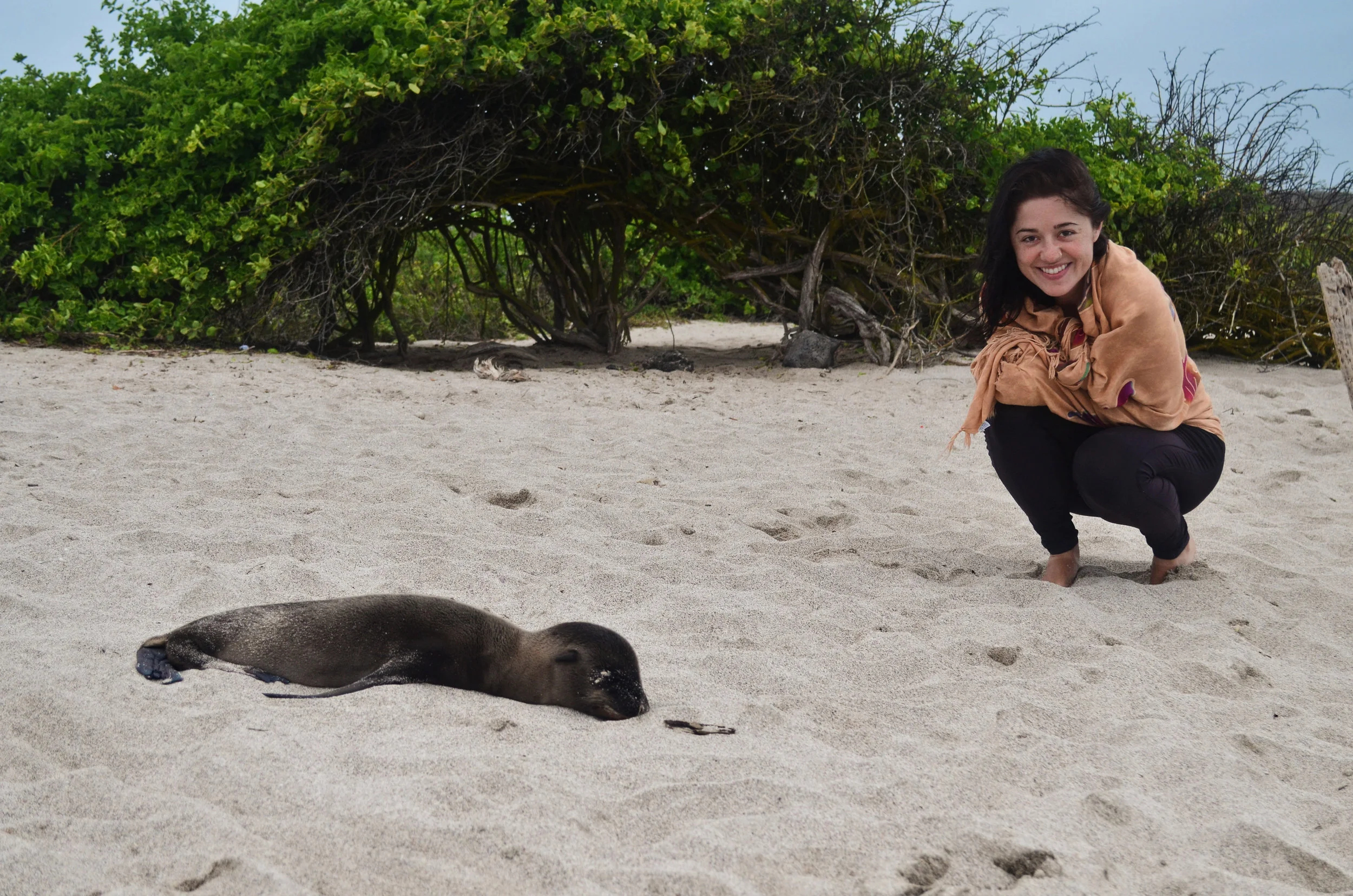 Rebecca gets a picture with a very sleepy sea lion pup at Playa Loberia on San Cristóbal Island