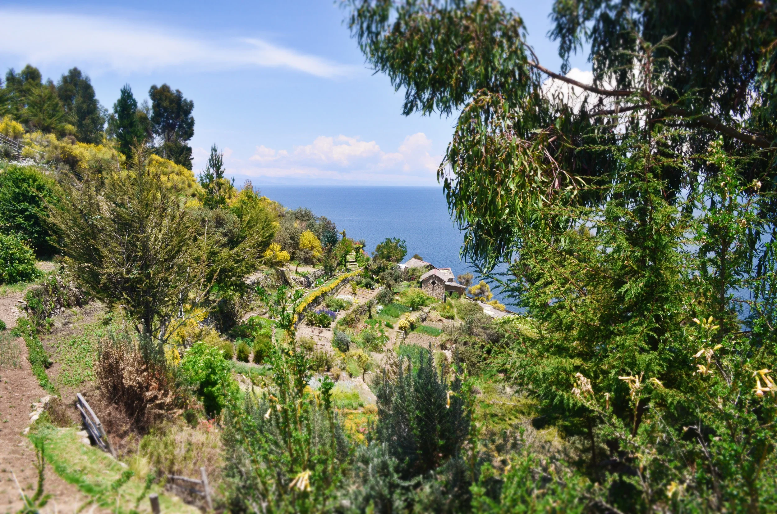Agriculture terraces on Isla del Sol