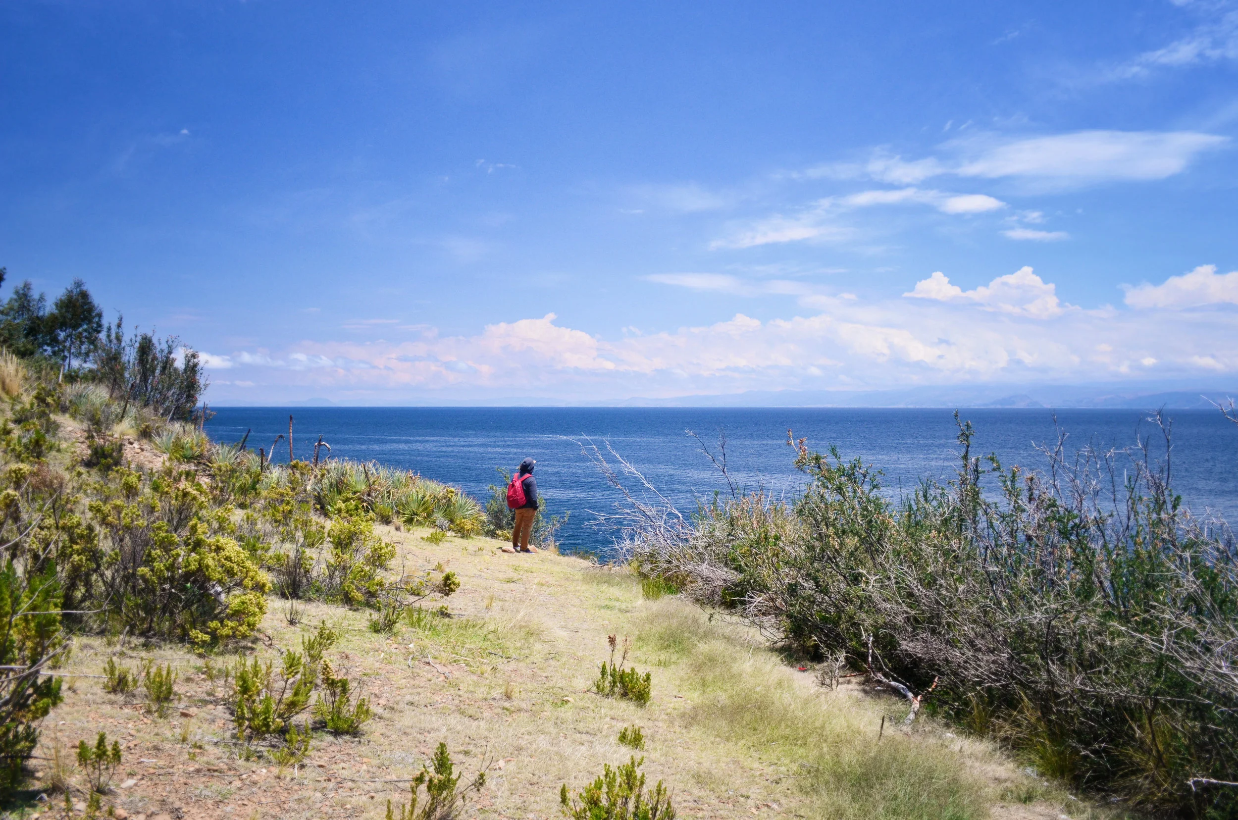 Richie on Isla de la Luna