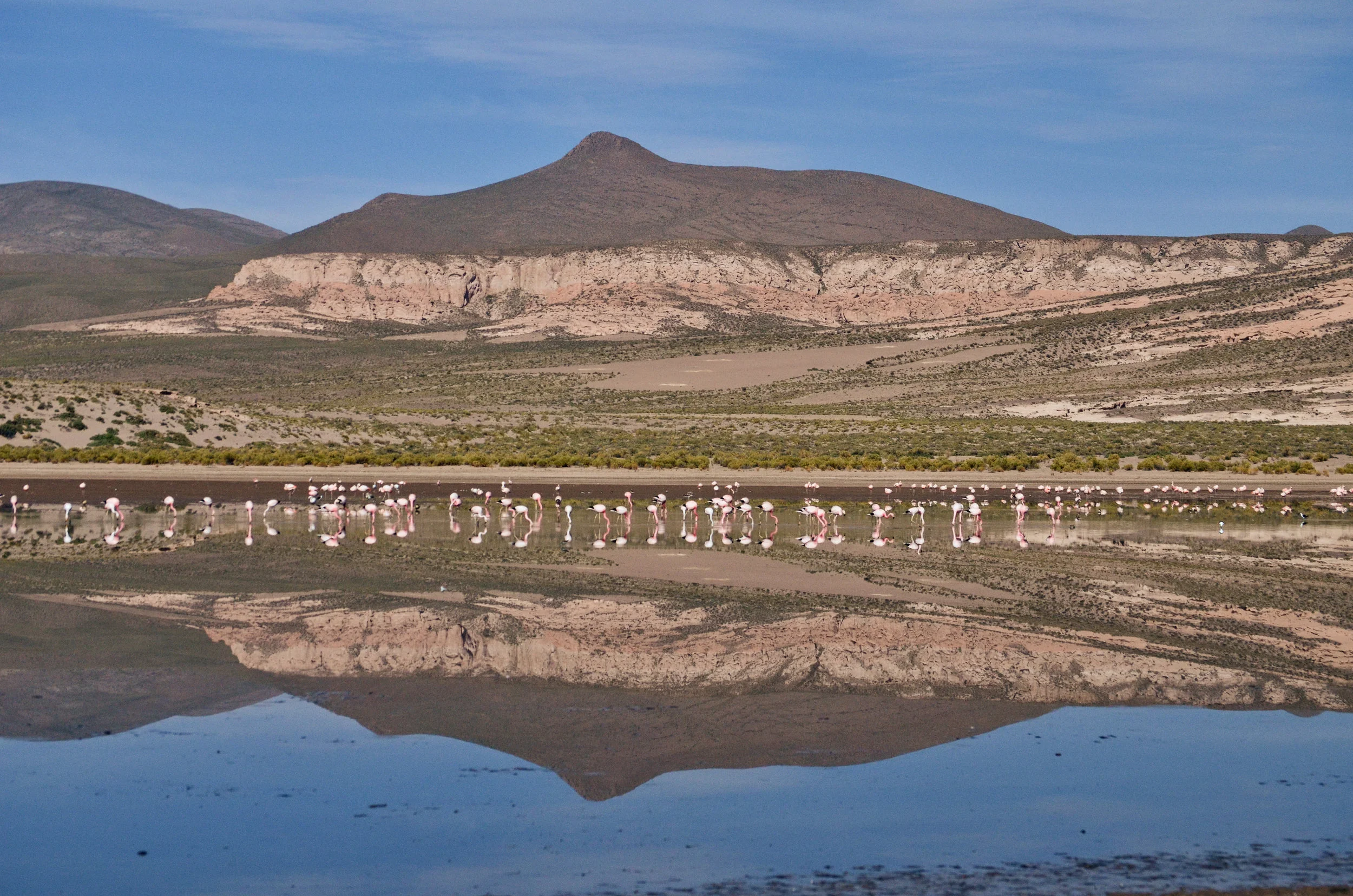 DSC_4552.jpg