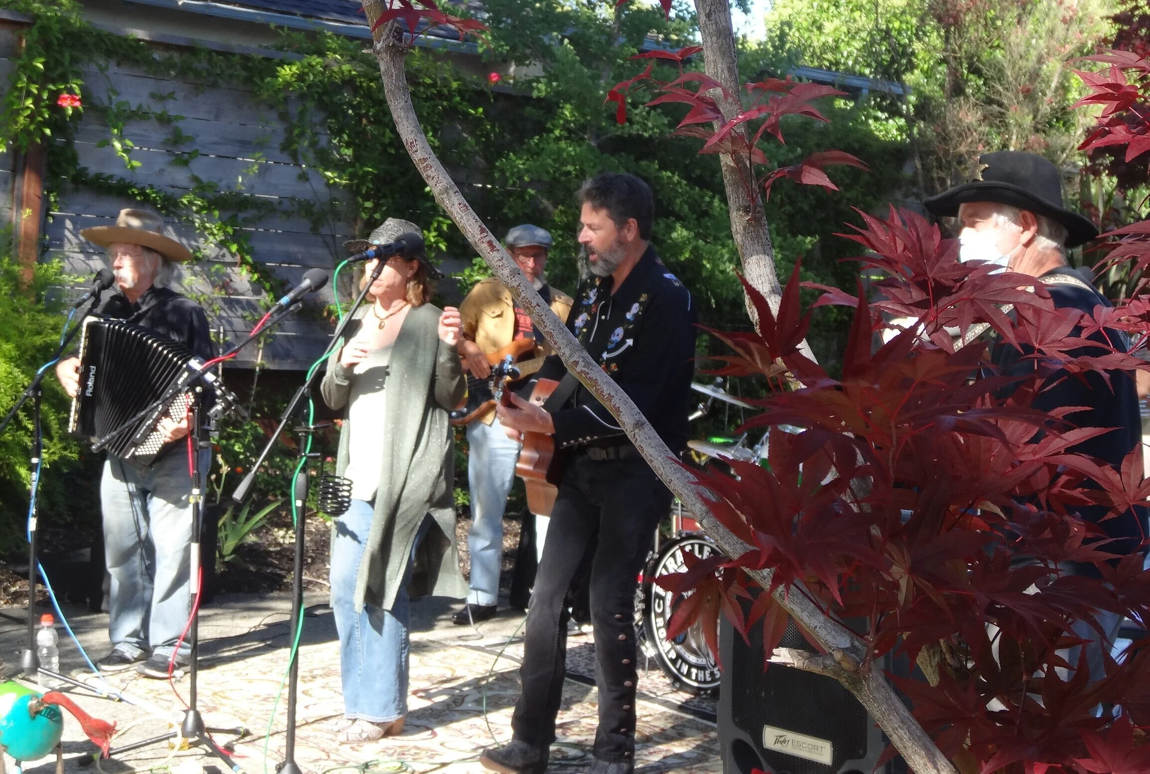 Terra Linda Driveway Concert