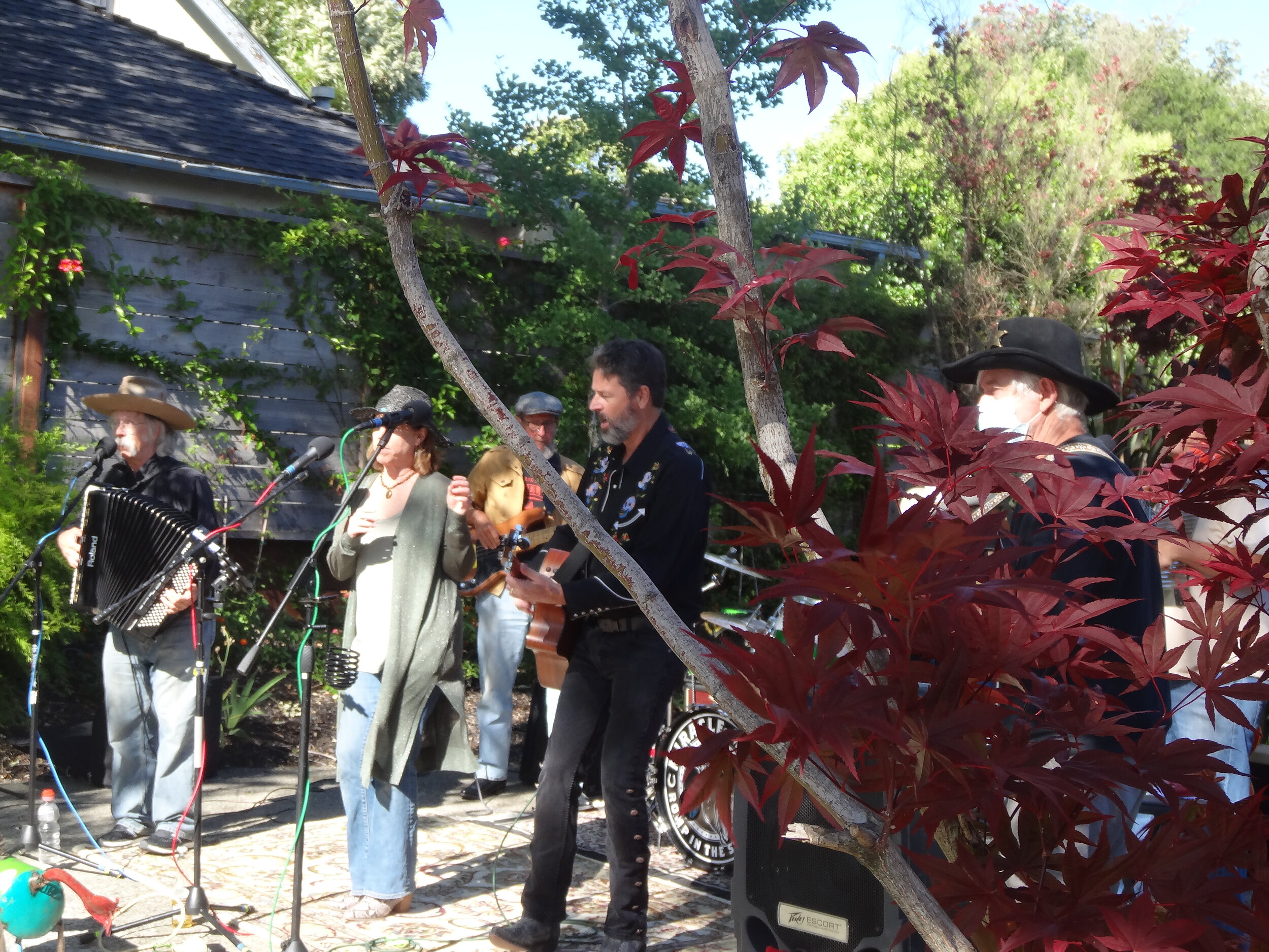 Neighborhood Driveway Concert