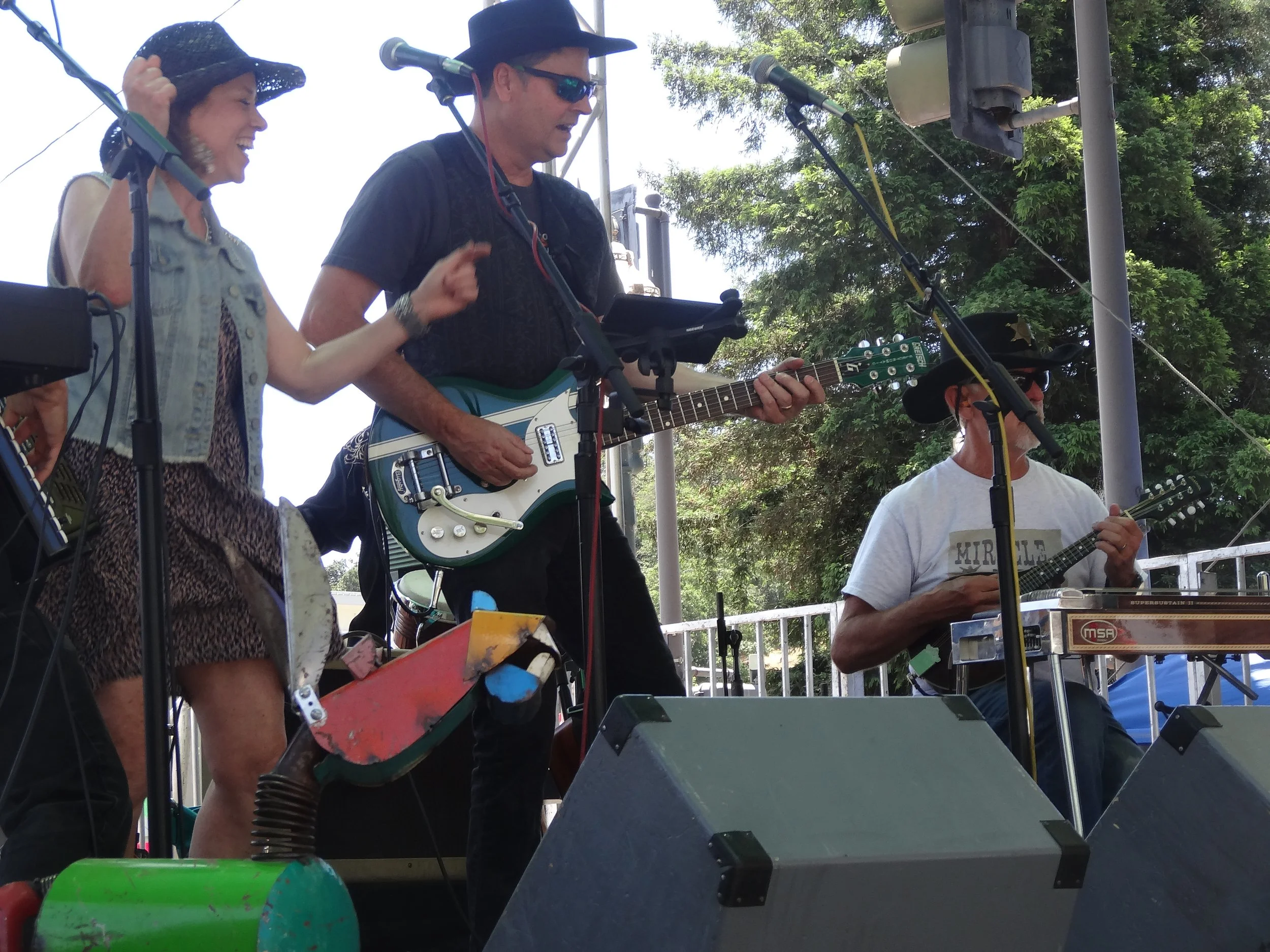 Novato Art &amp; Wine